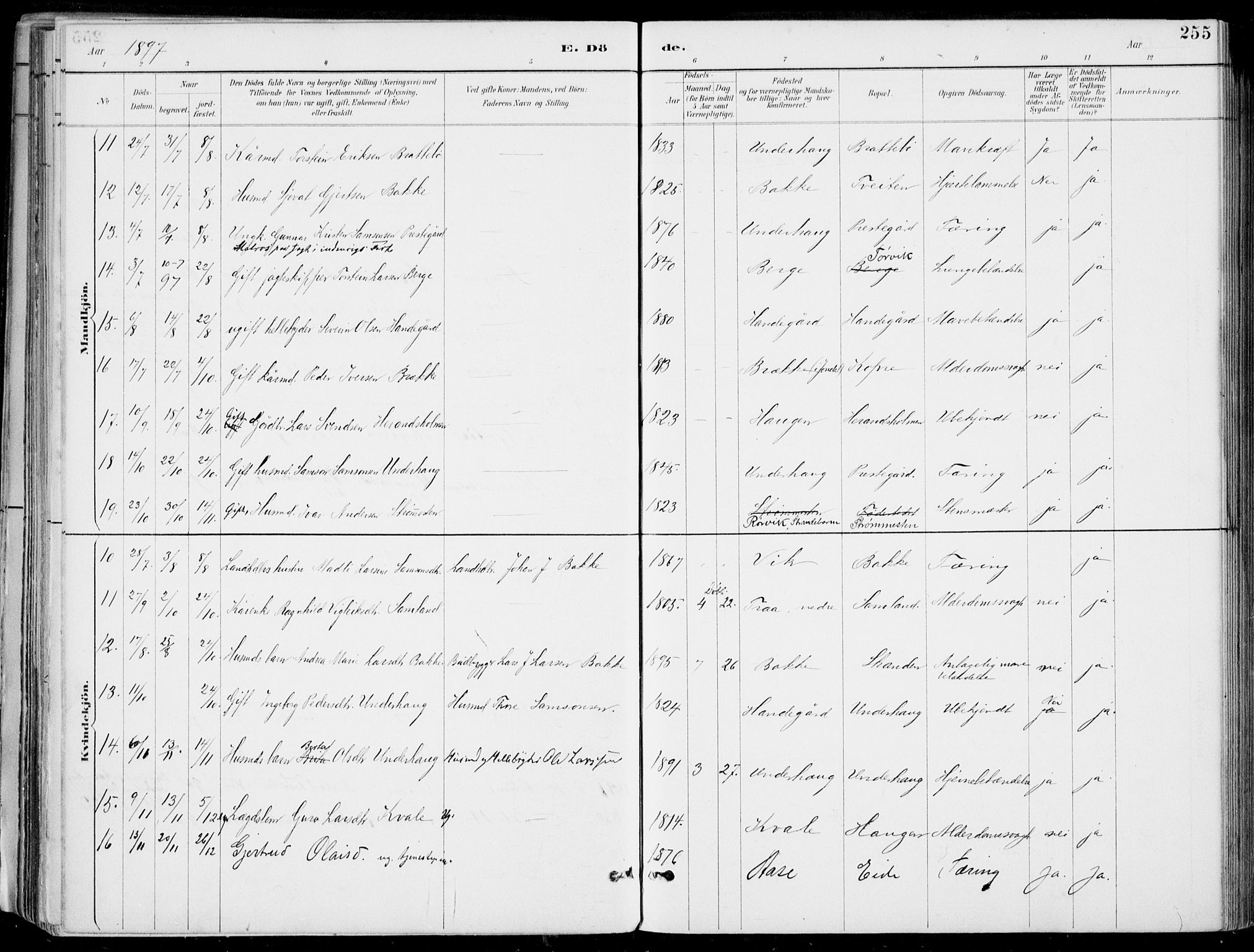 Strandebarm sokneprestembete, SAB/A-78401/H/Haa: Parish register (official) no. E  1, 1886-1908, p. 255