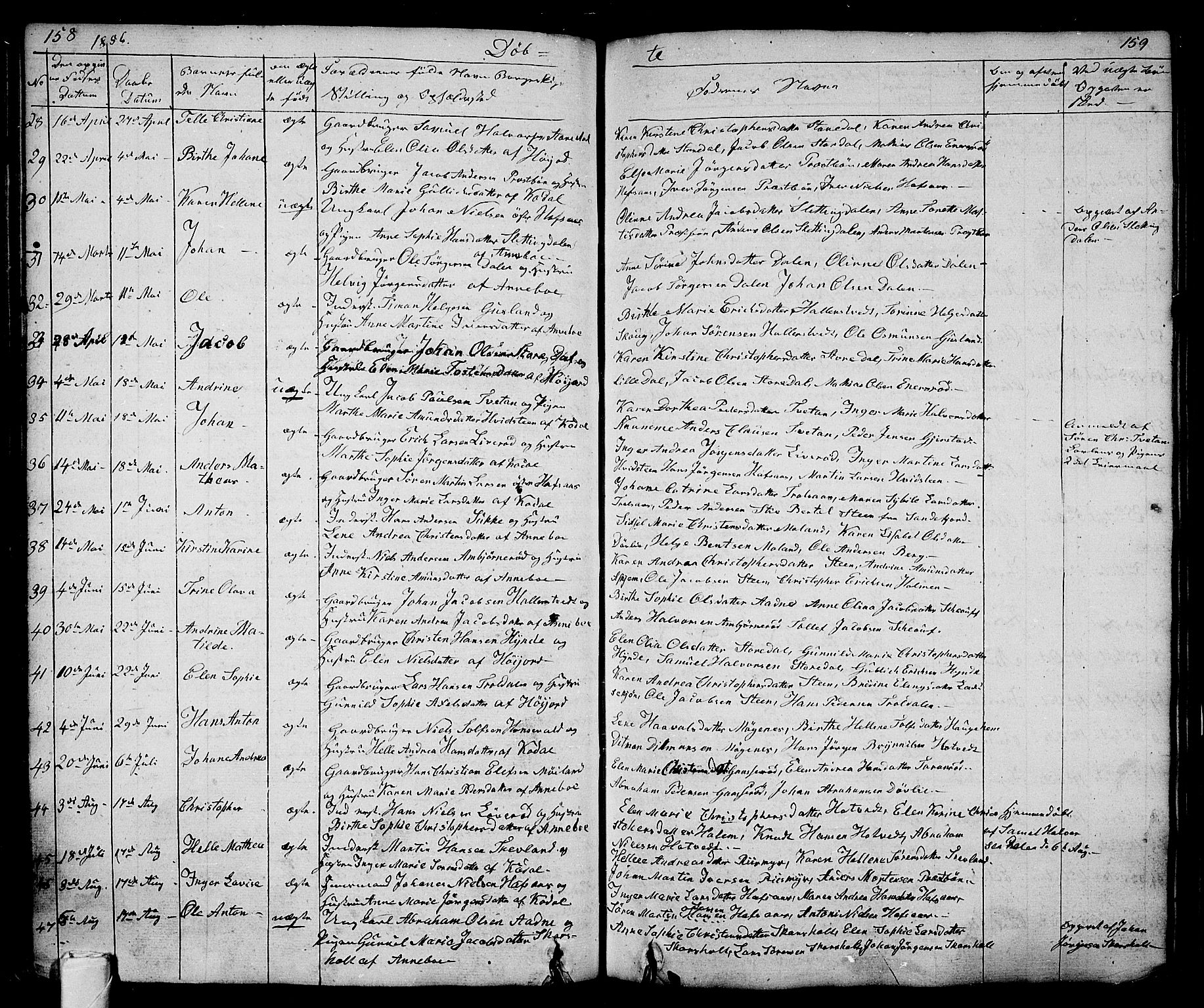 Andebu kirkebøker, SAKO/A-336/G/Ga/L0003: Parish register (copy) no. I 3, 1832-1867, p. 158-159