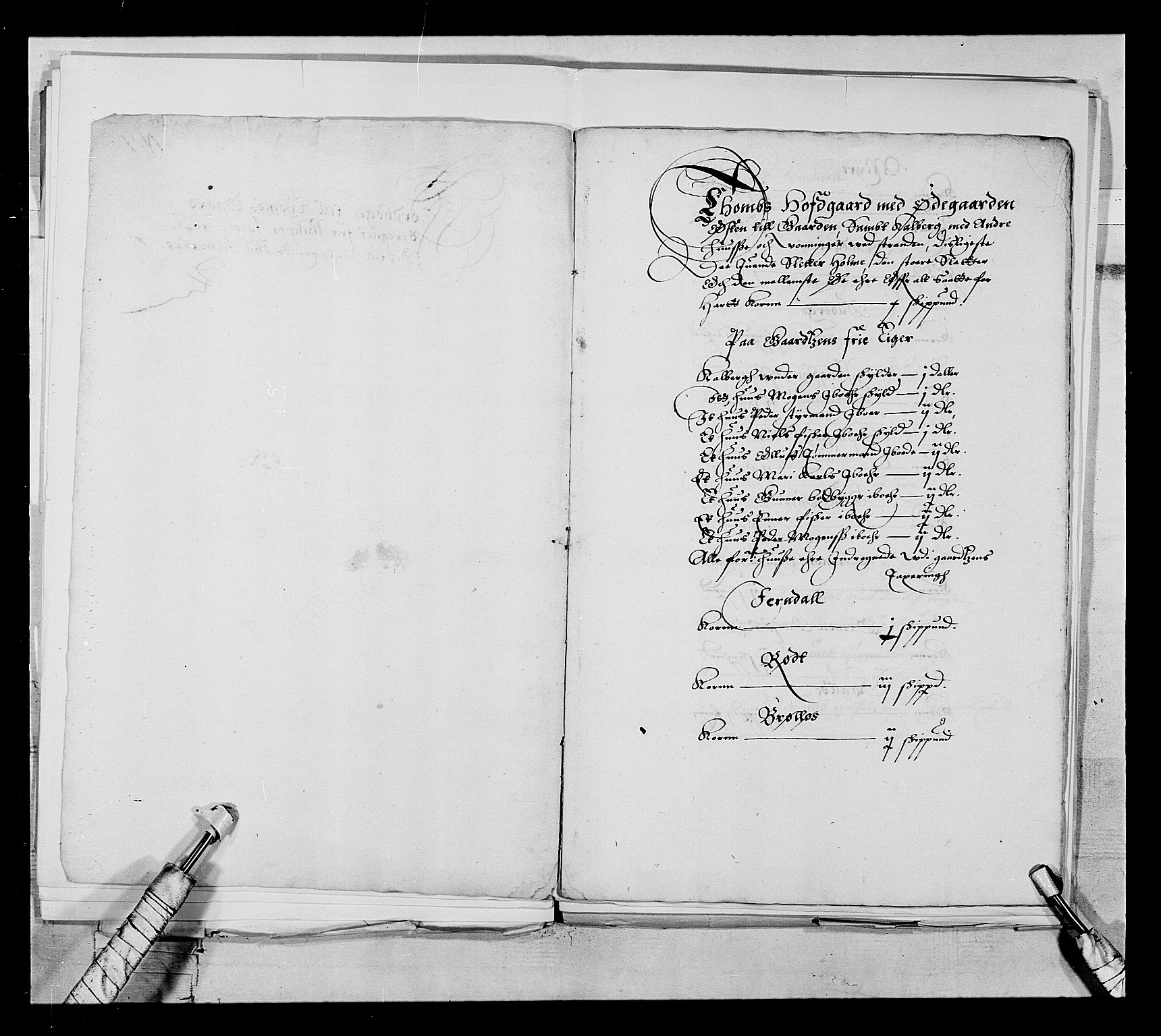 Stattholderembetet 1572-1771, AV/RA-EA-2870/Ek/L0021/0001: Jordebøker 1633-1658: / Adelsjordebøker innlevert til hyllingen i august 1648 og senere, 1648-1649, p. 169