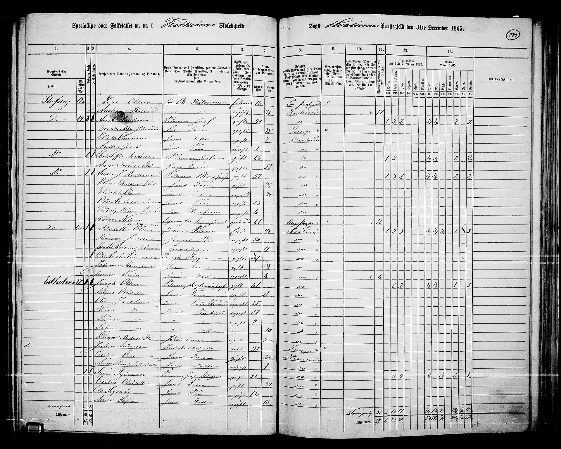 RA, 1865 census for Hvaler, 1865, p. 20