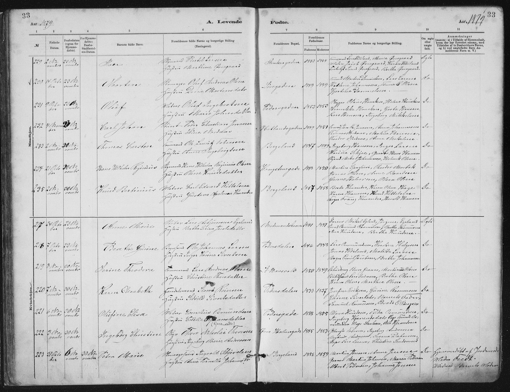 St. Petri sokneprestkontor, AV/SAST-A-101813/001/30/30BA/L0015: Parish register (official) no. A 15, 1879-1888, p. 33