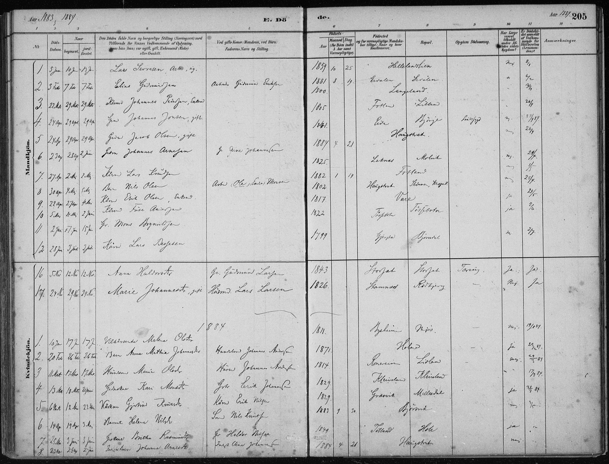 Hosanger sokneprestembete, AV/SAB-A-75801/H/Haa: Parish register (official) no. B  1, 1880-1896, p. 205