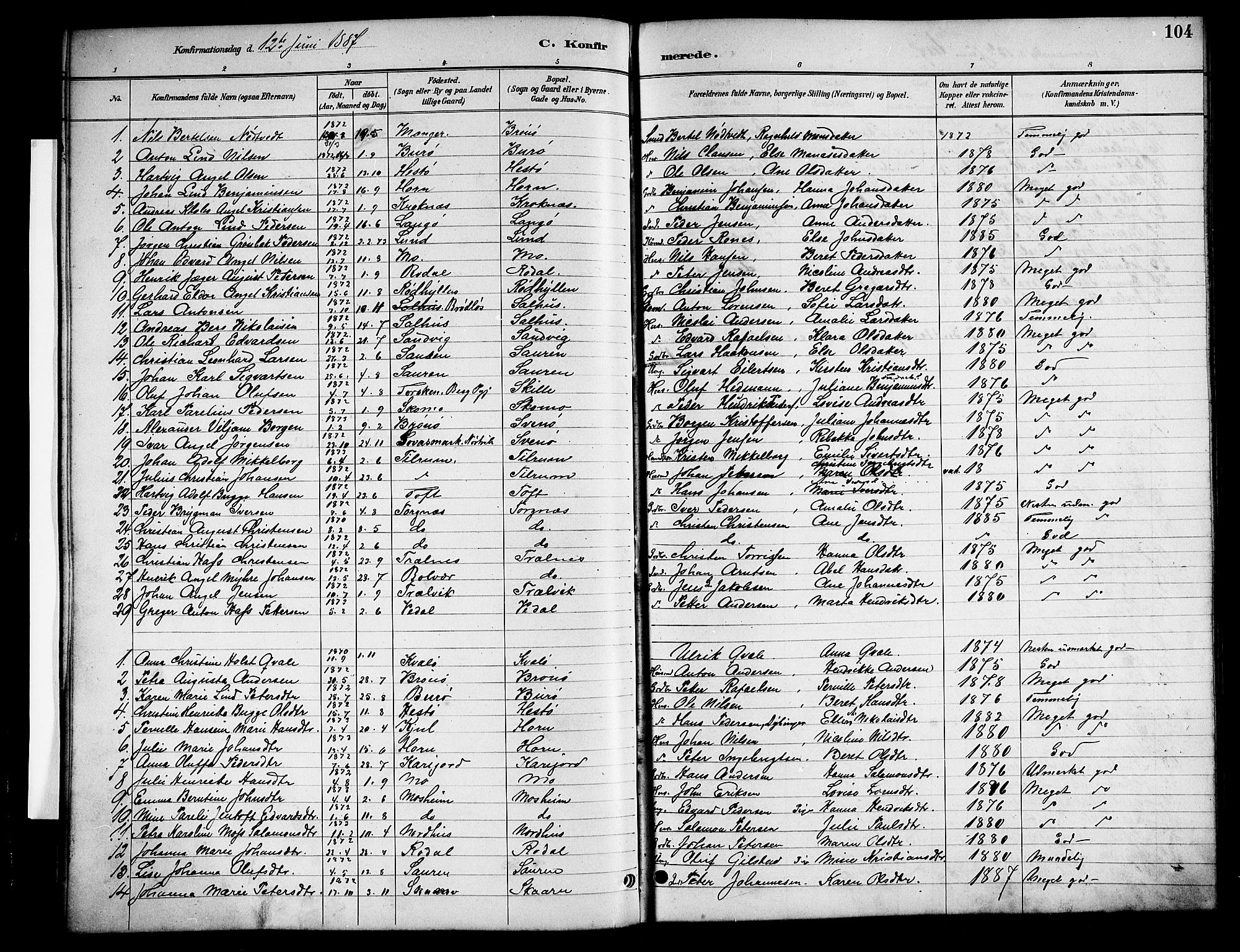 Ministerialprotokoller, klokkerbøker og fødselsregistre - Nordland, SAT/A-1459/813/L0213: Parish register (copy) no. 813C05, 1887-1903, p. 104