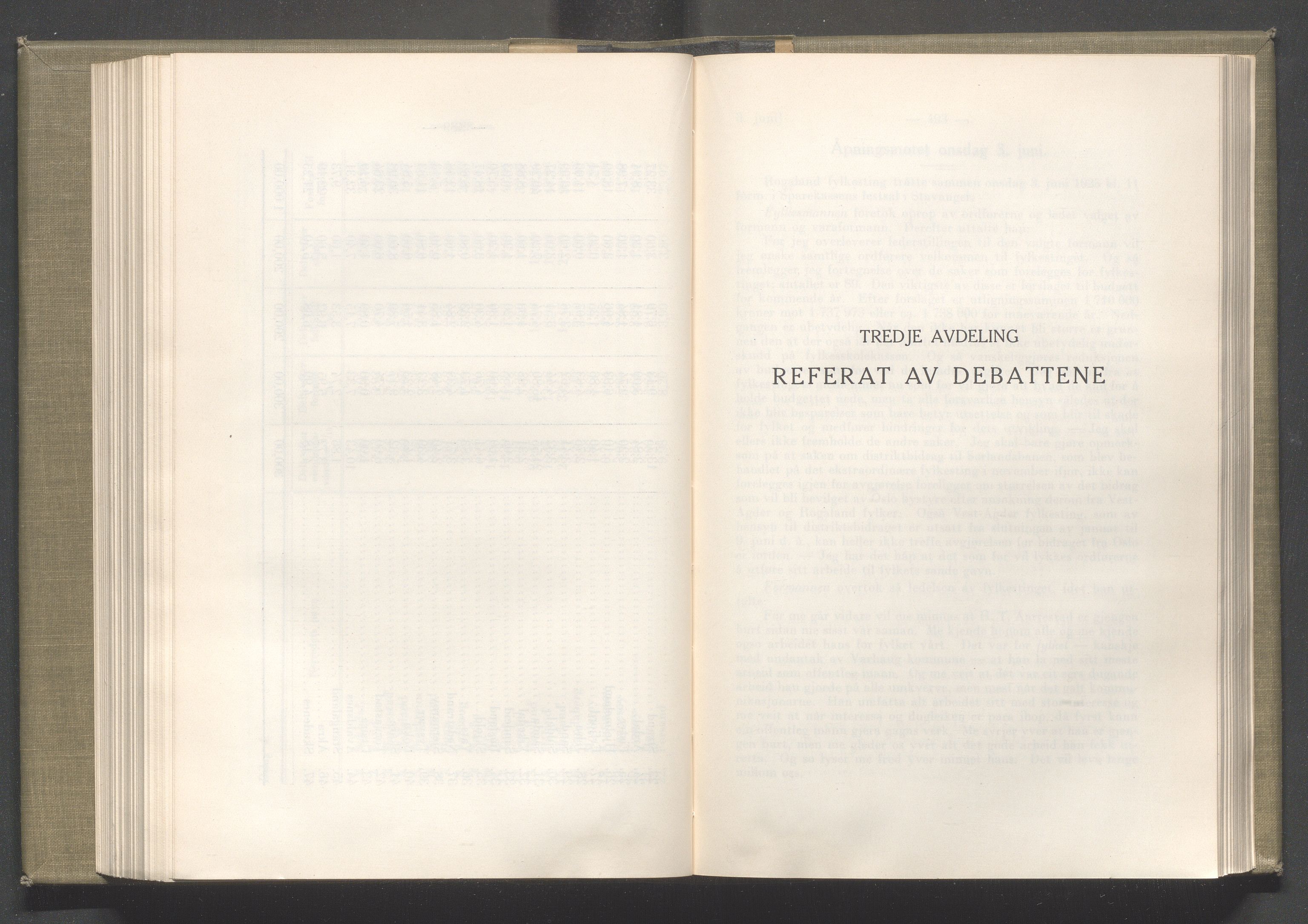 Rogaland fylkeskommune - Fylkesrådmannen , IKAR/A-900/A/Aa/Aaa/L0044: Møtebok , 1925, p. 490-491