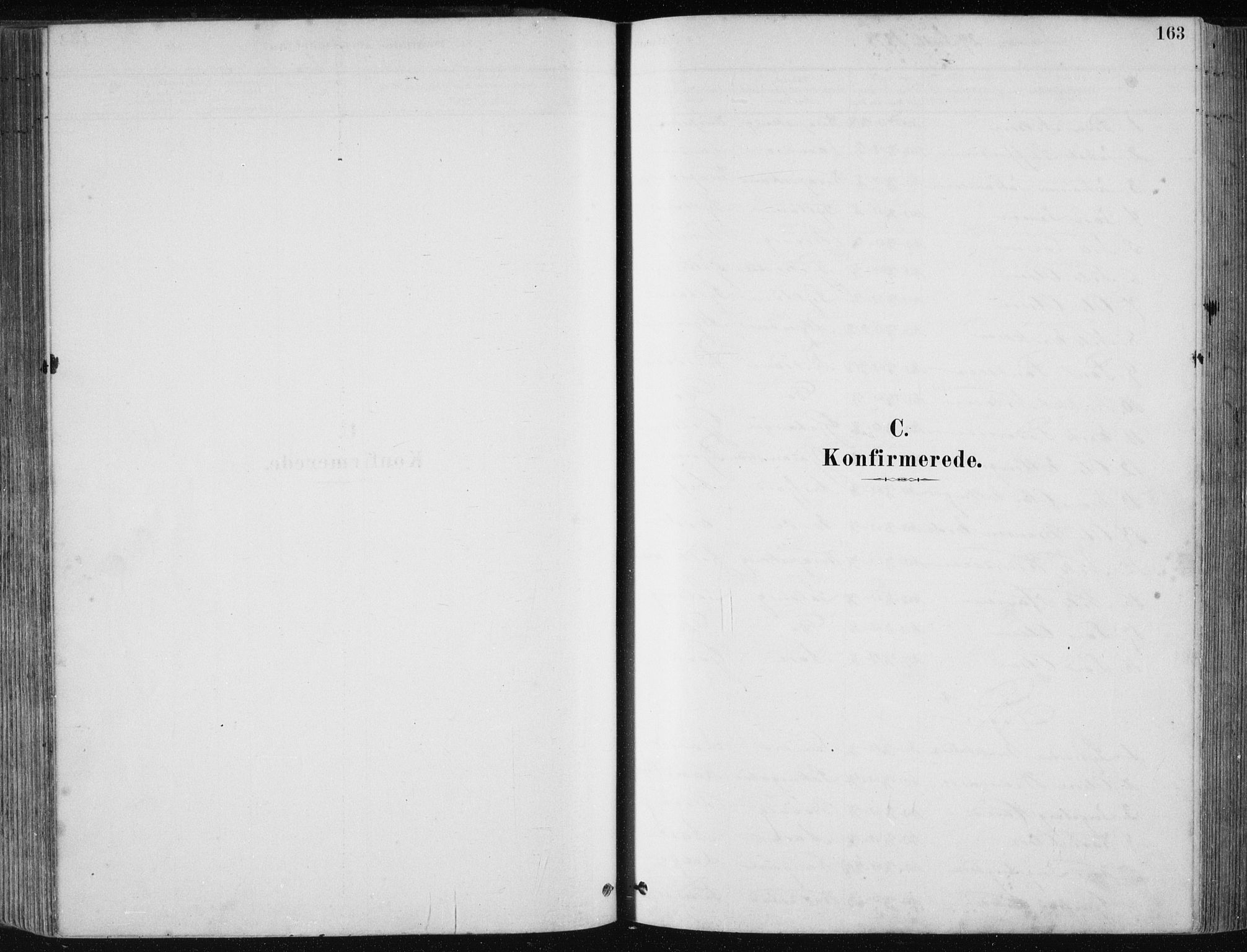 Fjell sokneprestembete, SAB/A-75301/H/Haa: Parish register (official) no. A  8, 1878-1898, p. 163