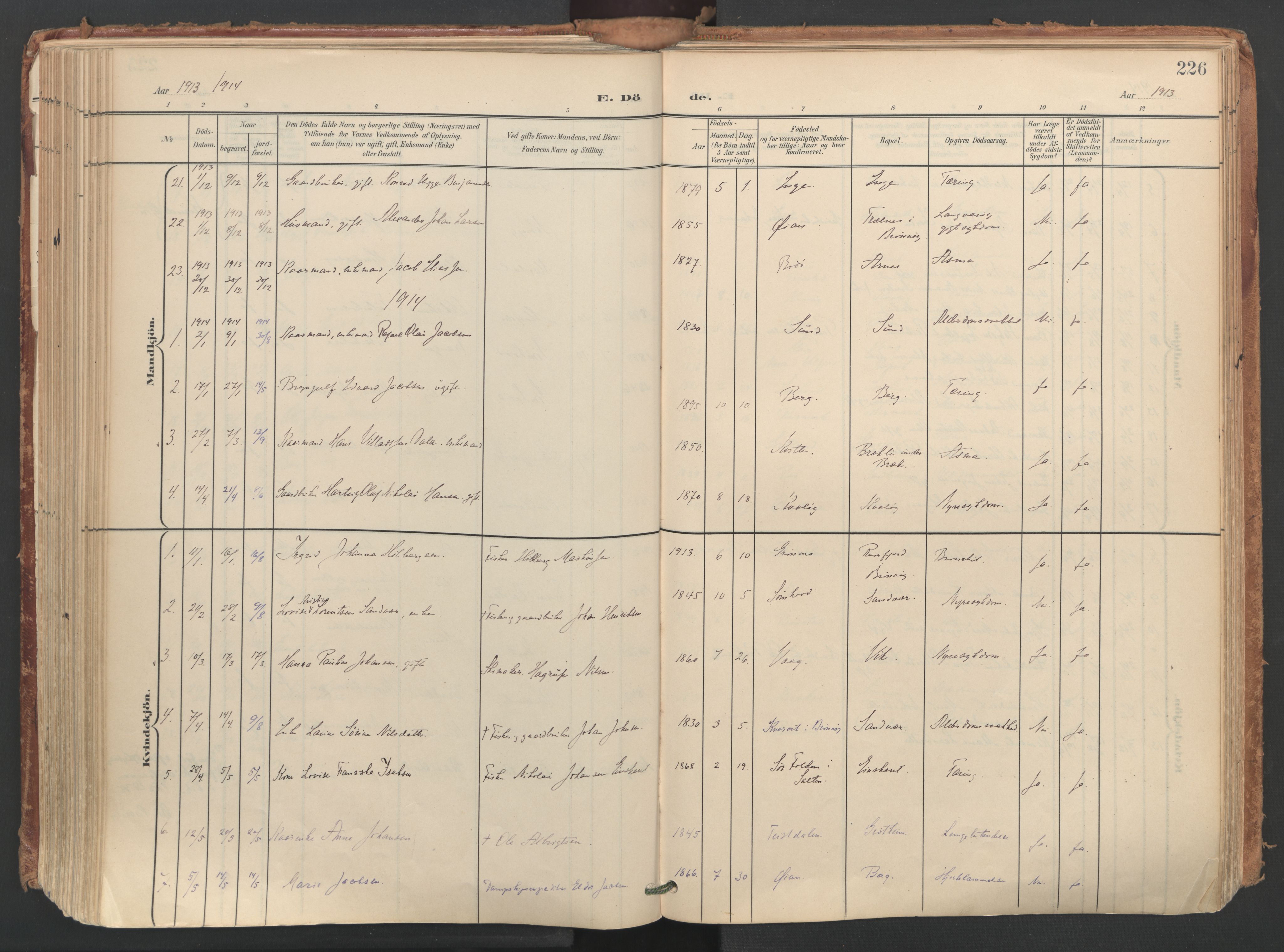Ministerialprotokoller, klokkerbøker og fødselsregistre - Nordland, SAT/A-1459/812/L0180: Parish register (official) no. 812A09, 1901-1915, p. 226