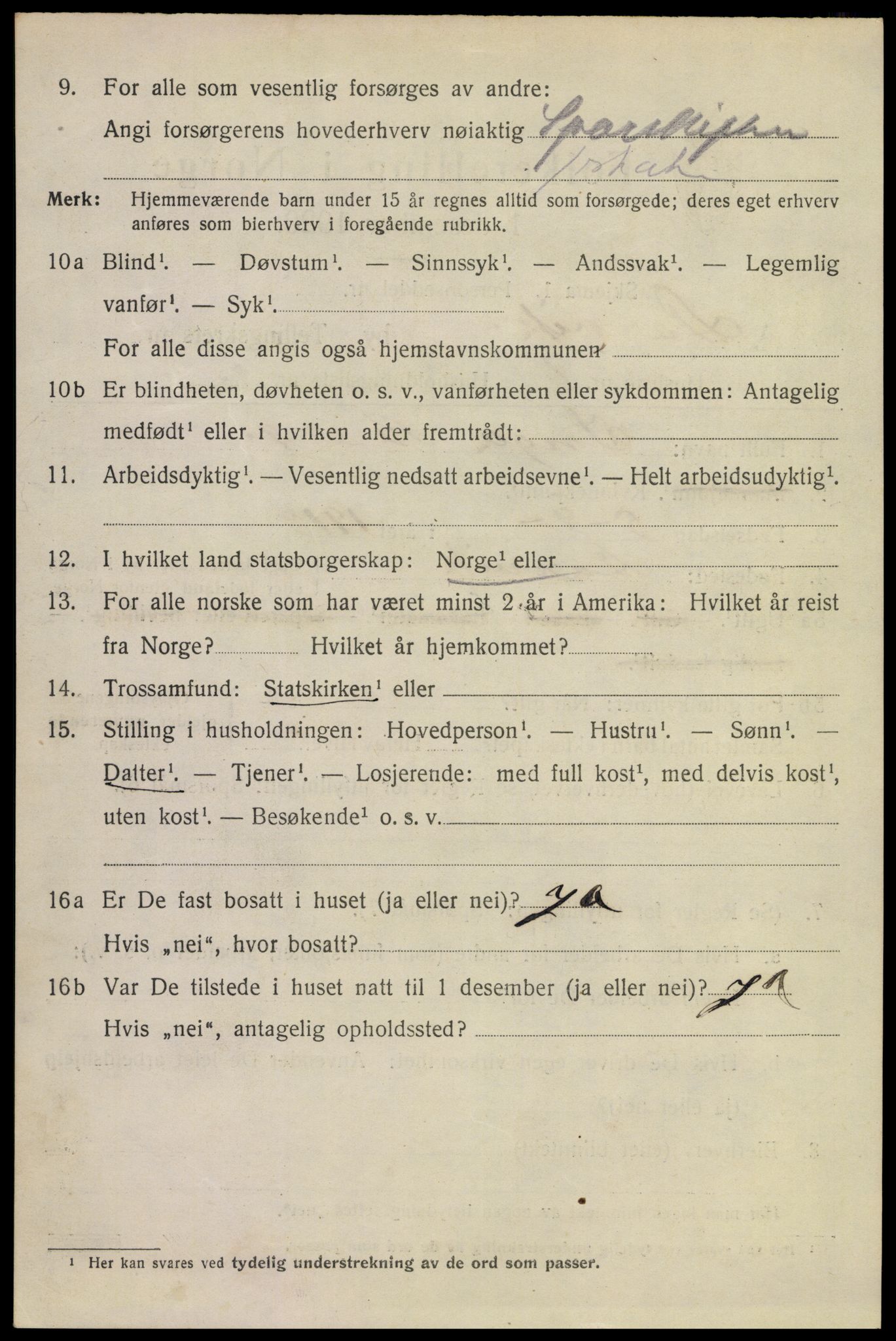 SAKO, 1920 census for Larvik, 1920, p. 16535