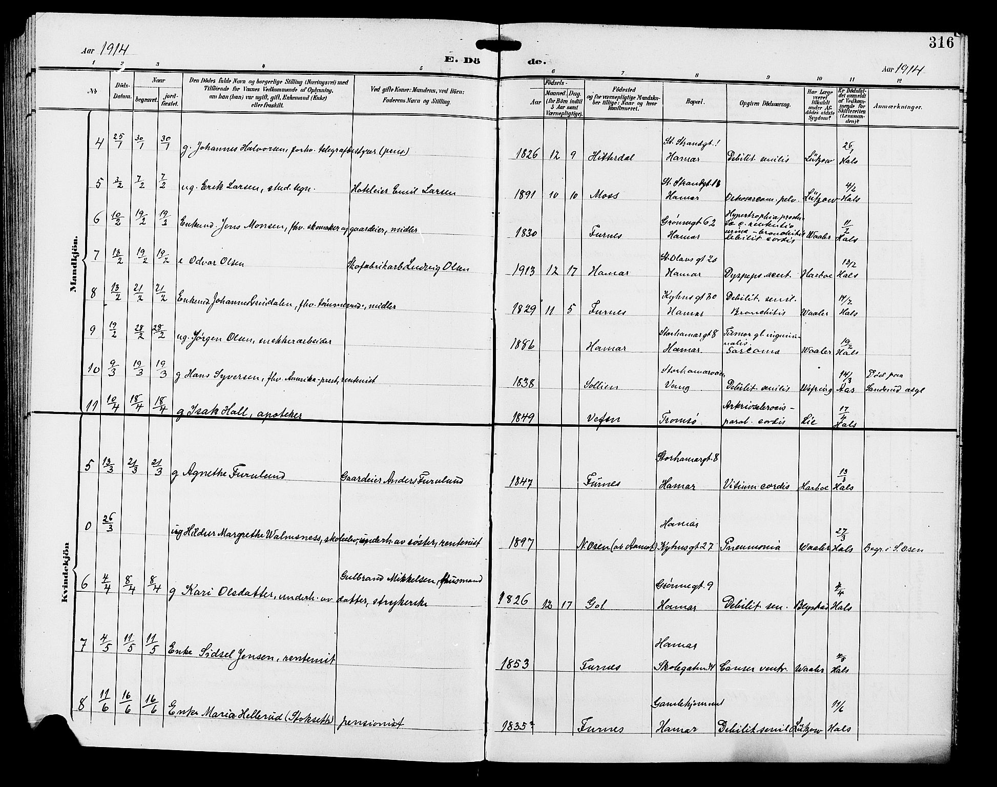 Hamar prestekontor, AV/SAH-DOMPH-002/H/Ha/Hab/L0001: Parish register (copy) no. 1, 1899-1914, p. 316