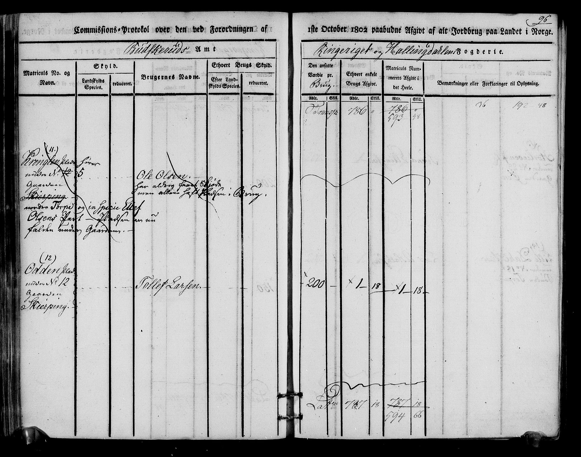 Rentekammeret inntil 1814, Realistisk ordnet avdeling, RA/EA-4070/N/Ne/Nea/L0048: Ringerike og Hallingdal fogderi. Kommisjonsprotokoll for Ål prestegjeld, 1803, p. 100