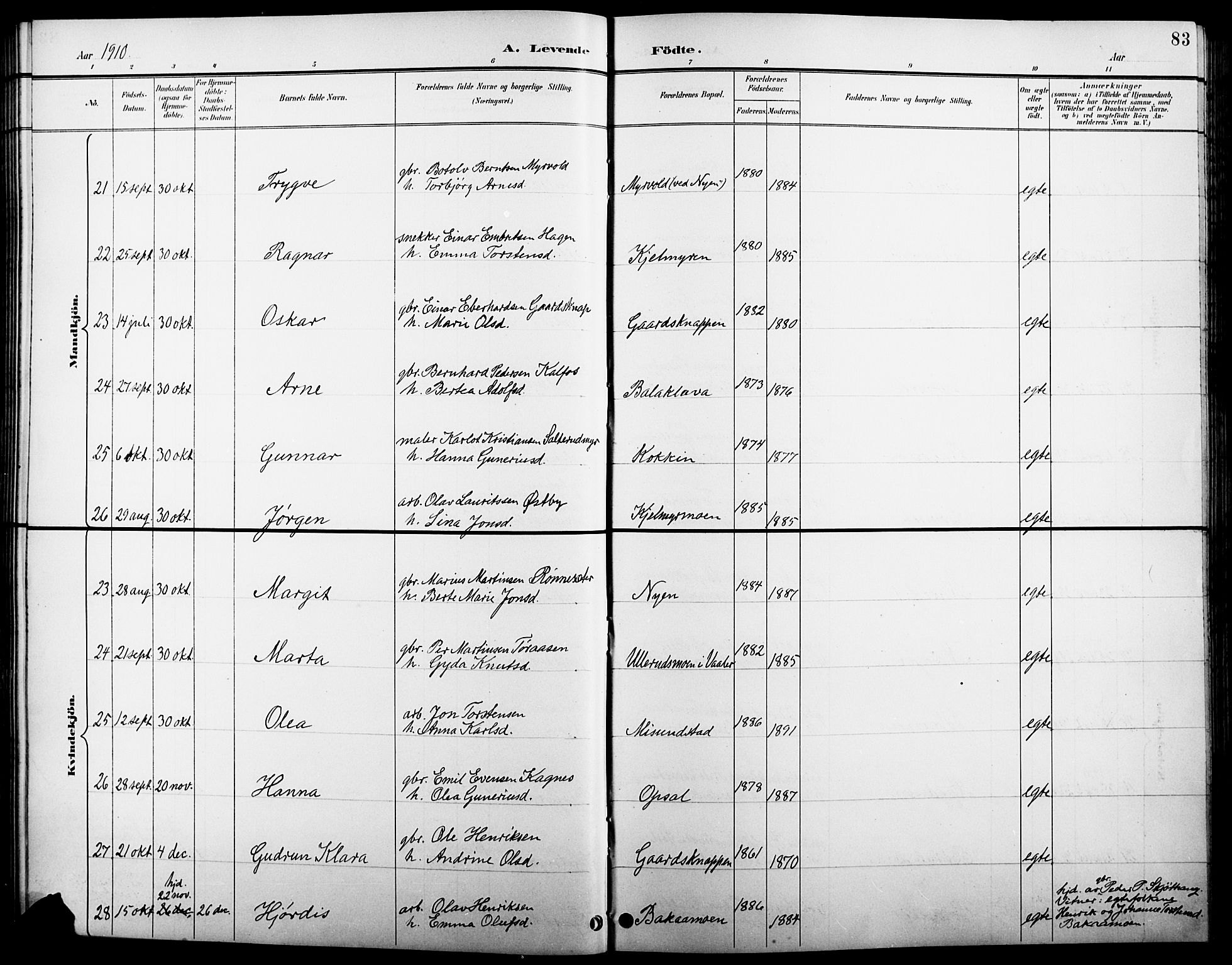 Åsnes prestekontor, AV/SAH-PREST-042/H/Ha/Hab/L0005: Parish register (copy) no. 5, 1895-1920, p. 83