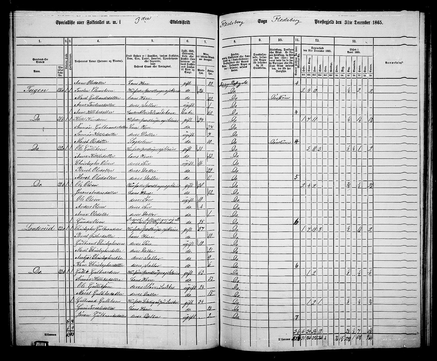 RA, 1865 census for Flesberg, 1865, p. 74