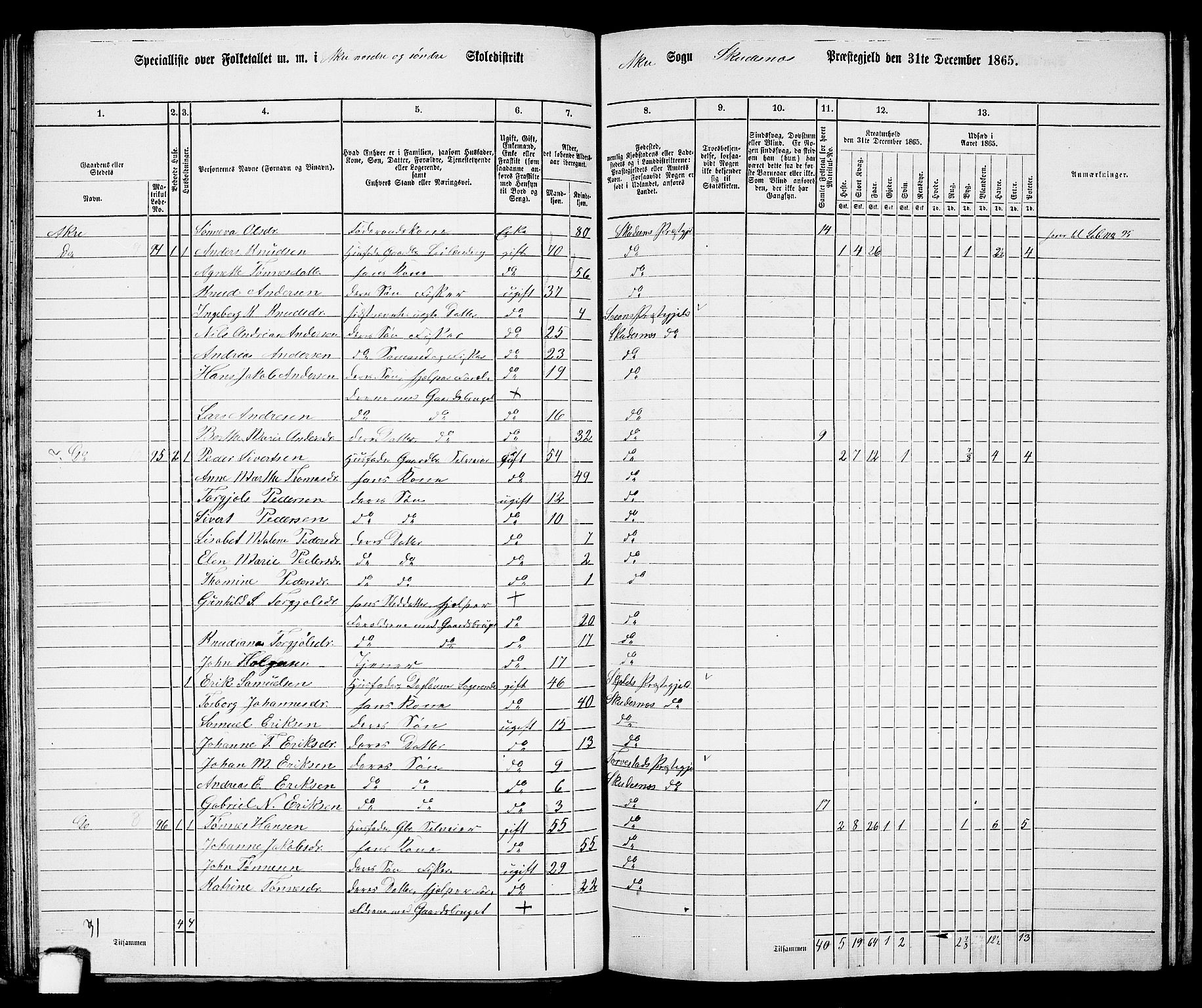 RA, 1865 census for Skudenes, 1865, p. 55