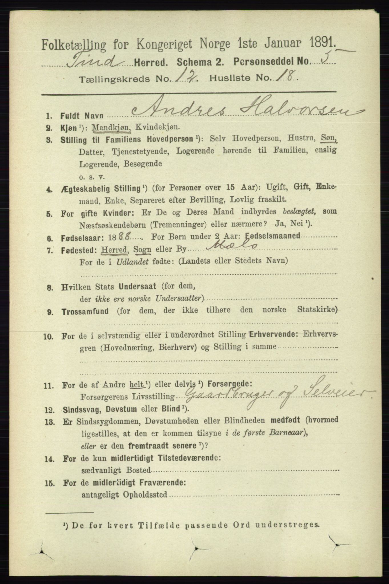 RA, 1891 census for 0826 Tinn, 1891, p. 2406
