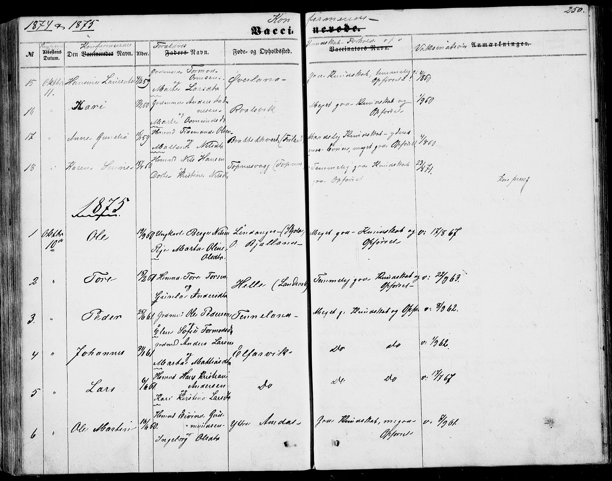 Nedstrand sokneprestkontor, AV/SAST-A-101841/01/IV: Parish register (official) no. A 9, 1861-1876, p. 250