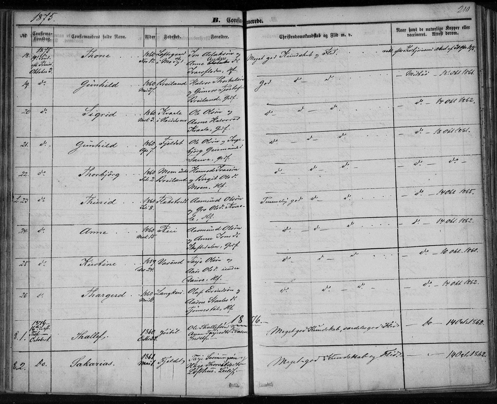 Lårdal kirkebøker, SAKO/A-284/F/Fa/L0006: Parish register (official) no. I 6, 1861-1886, p. 210