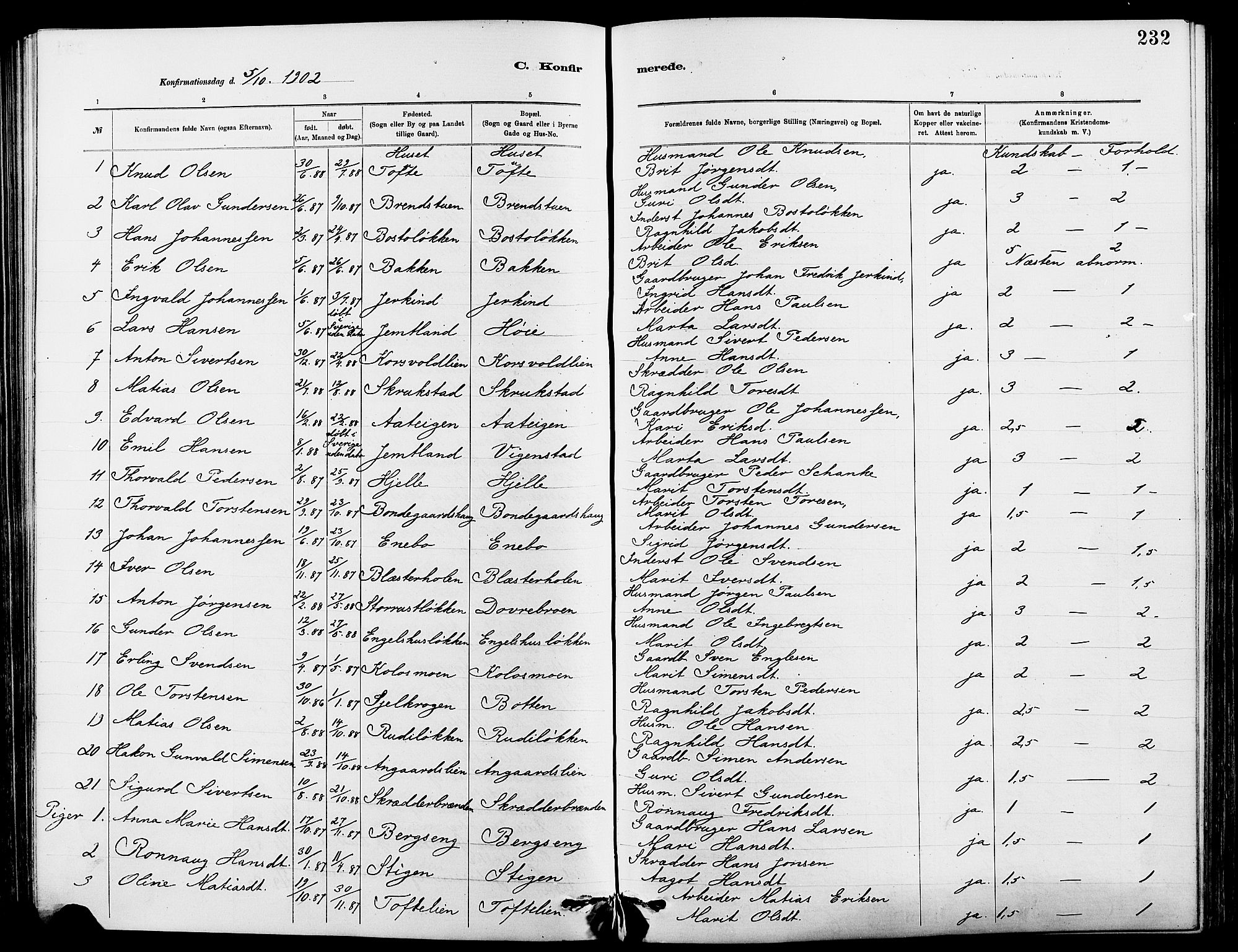 Dovre prestekontor, SAH/PREST-066/H/Ha/Hab/L0002: Parish register (copy) no. 2, 1881-1907, p. 232