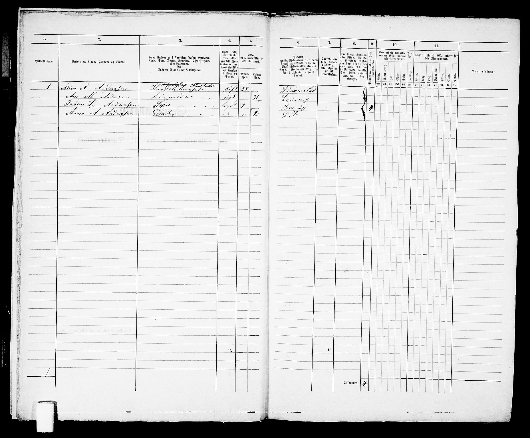 RA, 1865 census for Brevik, 1865, p. 382