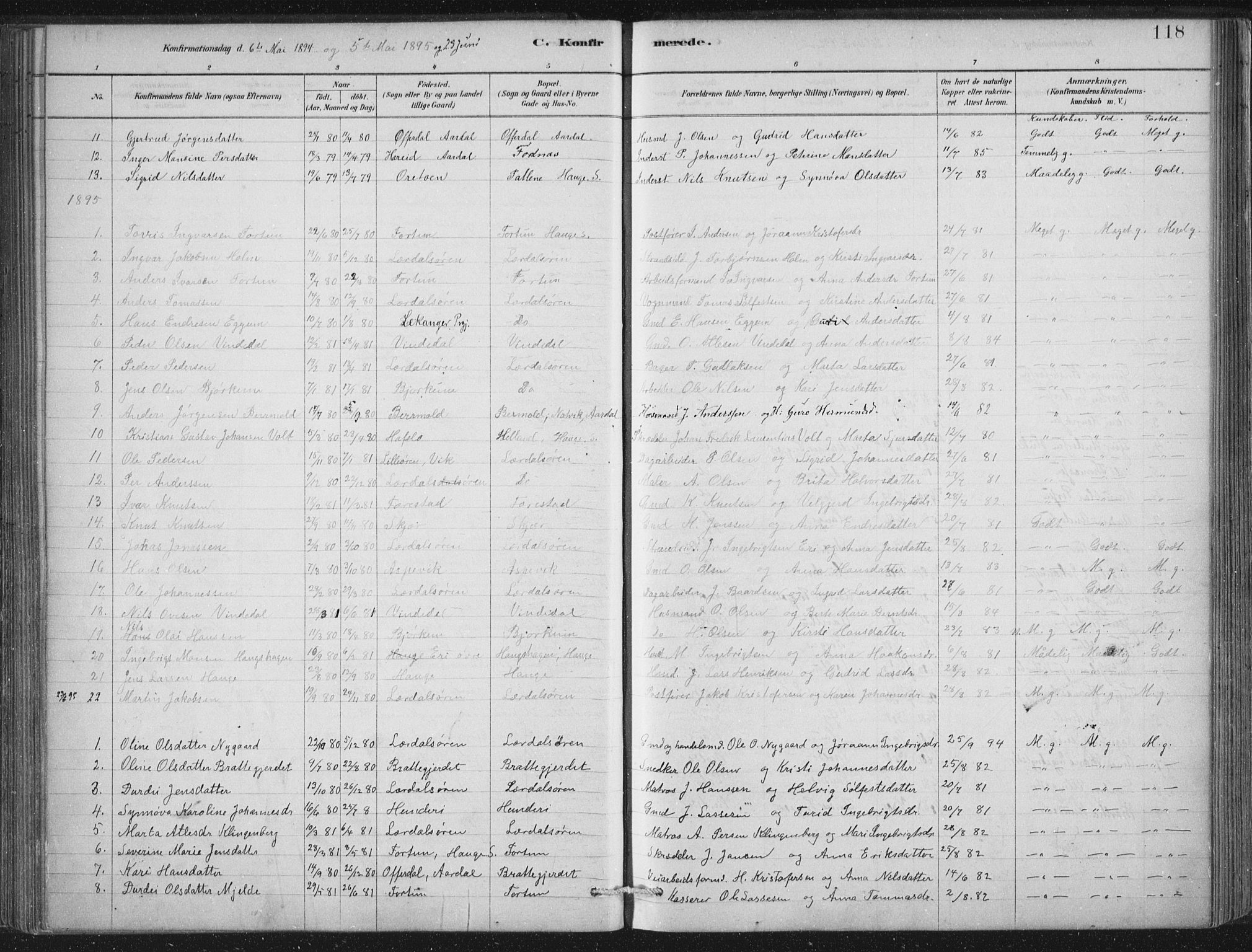Lærdal sokneprestembete, SAB/A-81201: Parish register (official) no. D  1, 1878-1908, p. 118