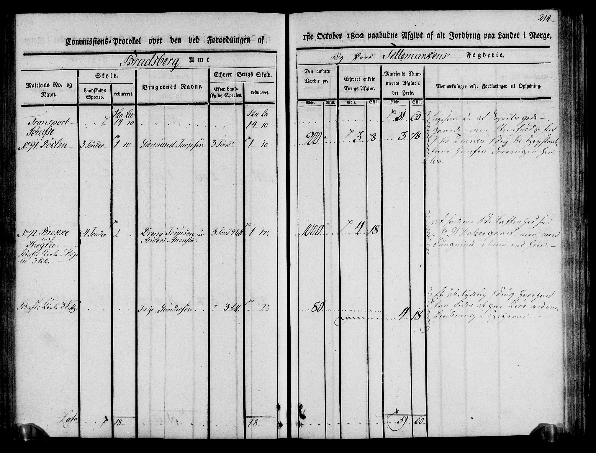 Rentekammeret inntil 1814, Realistisk ordnet avdeling, AV/RA-EA-4070/N/Ne/Nea/L0075: Øvre Telemarken fogderi. Kommisjonsprotokoll for fogderiets vestre del - Kviteseid, Vinje, Moland [):Fyresdal] og Lårdal prestegjeld., 1803, p. 216