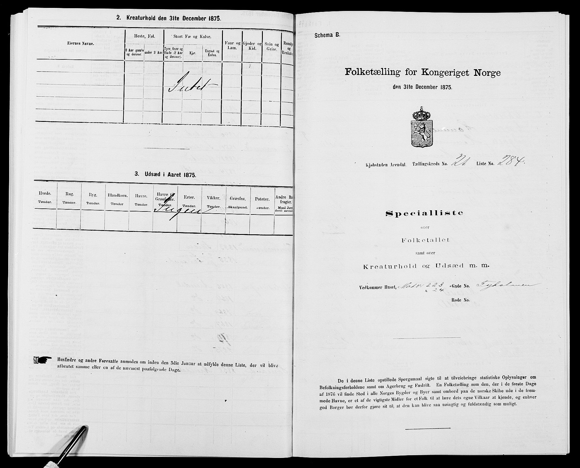 SAK, 1875 census for 0903P Arendal, 1875, p. 662