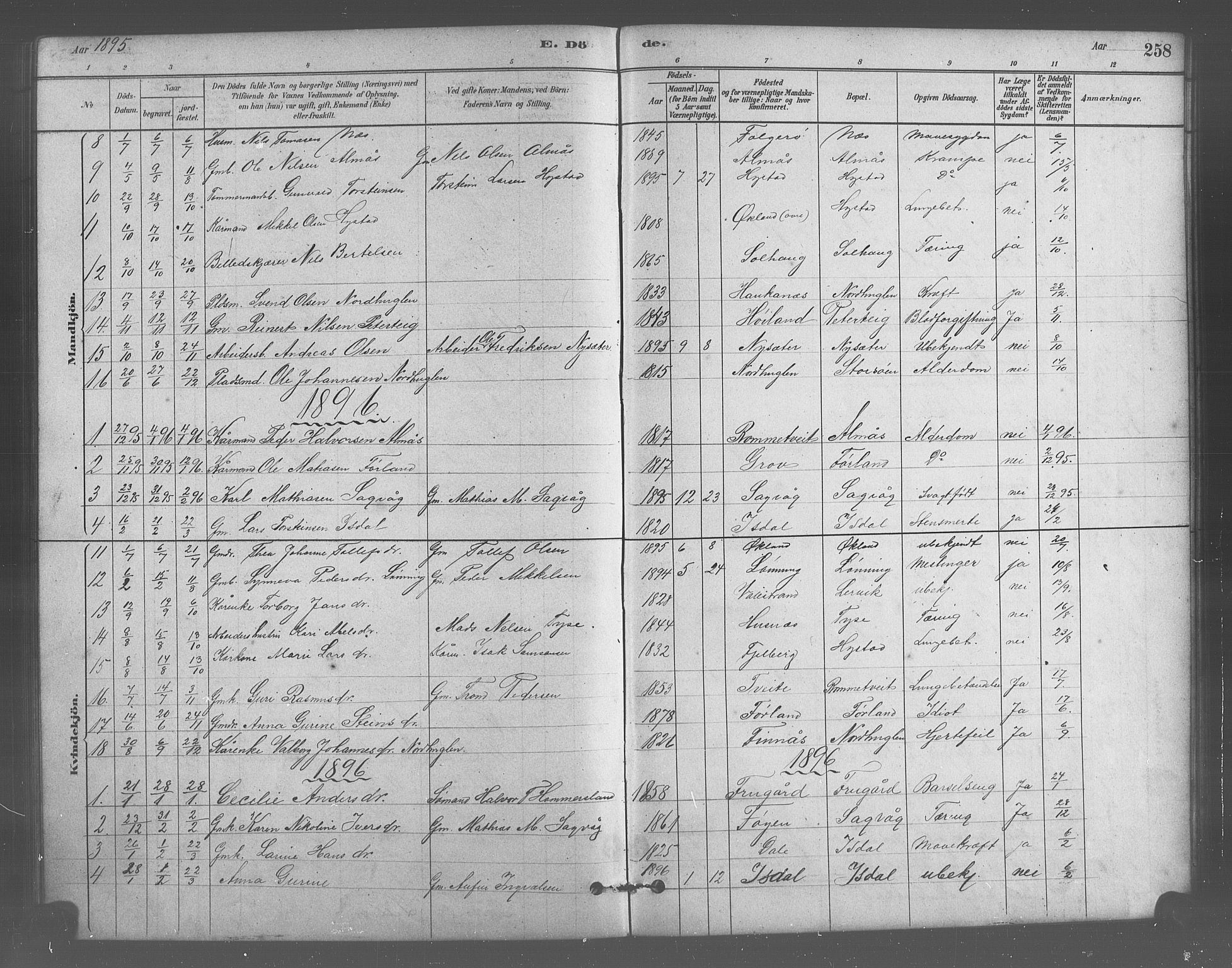 Stord sokneprestembete, SAB/A-78201/H/Hab: Parish register (copy) no. A 2, 1879-1909, p. 258