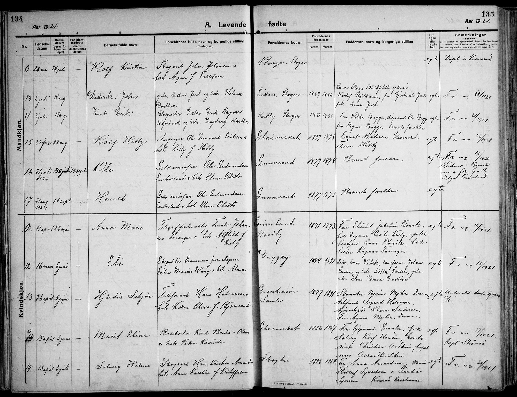 Skoger kirkebøker, AV/SAKO-A-59/F/Fa/L0007: Parish register (official) no. I 7, 1911-1936, p. 134-135