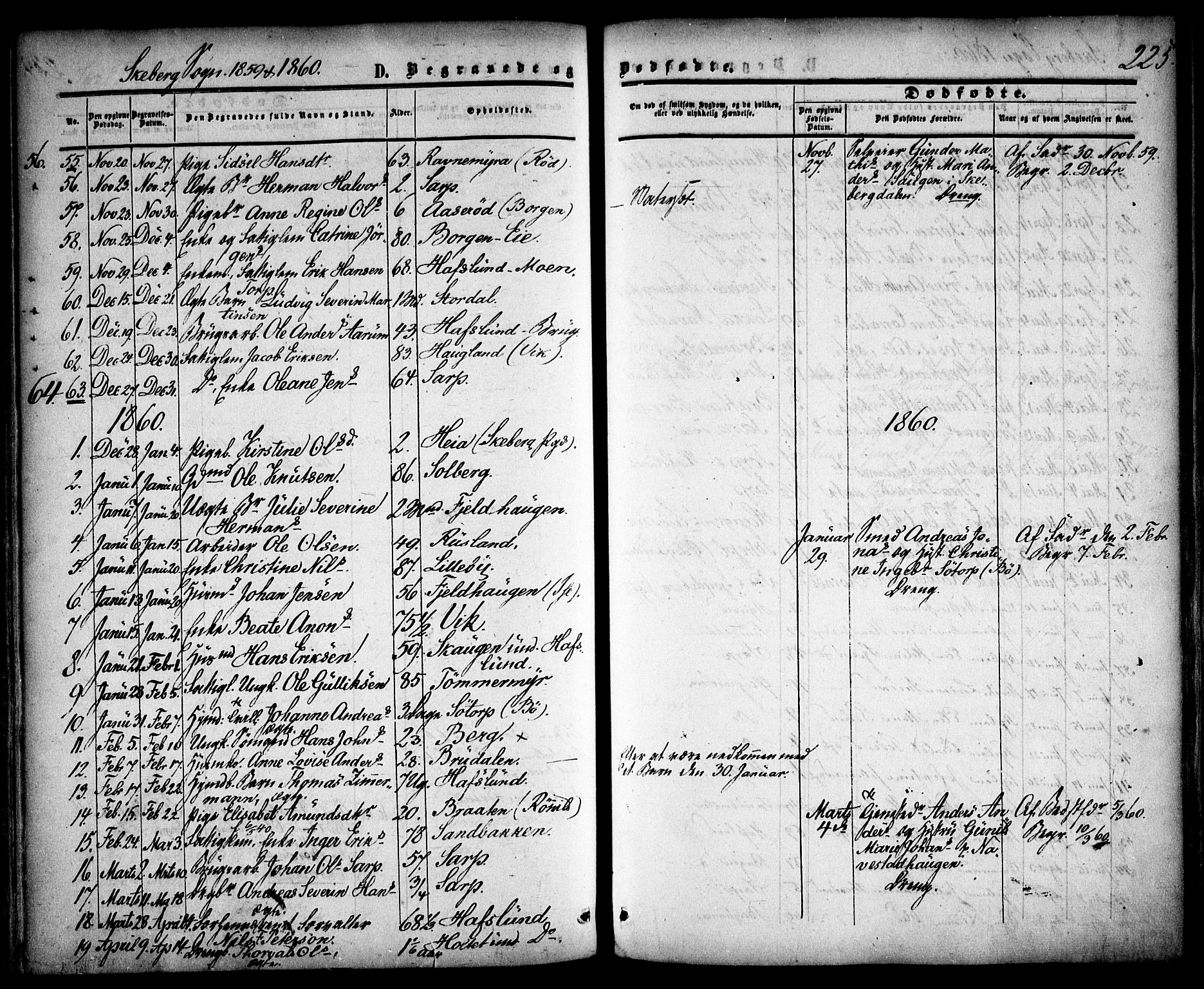 Skjeberg prestekontor Kirkebøker, SAO/A-10923/F/Fa/L0007: Parish register (official) no. I 7, 1859-1868, p. 225