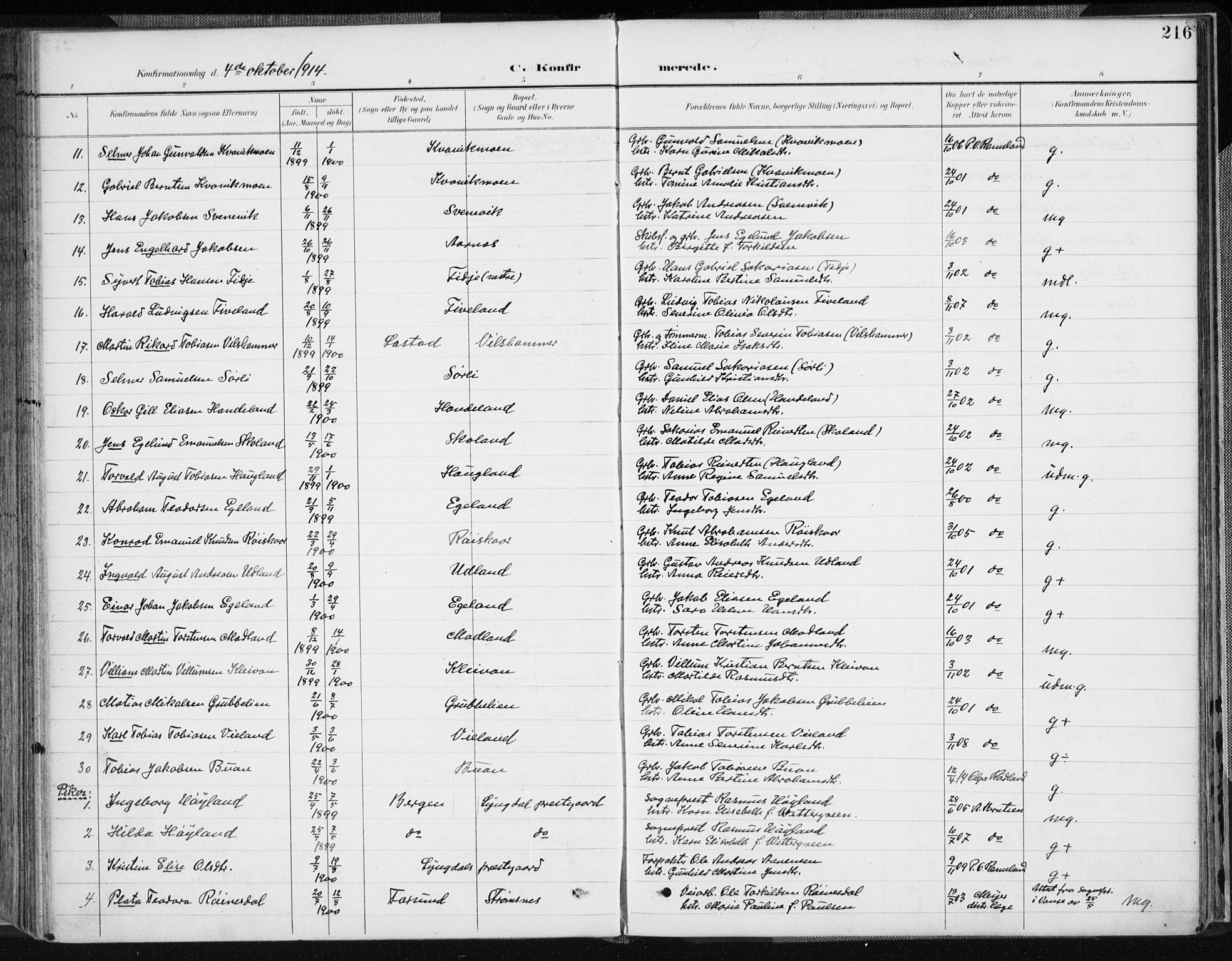Lyngdal sokneprestkontor, AV/SAK-1111-0029/F/Fa/Fac/L0012: Parish register (official) no. A 12, 1894-1918, p. 216