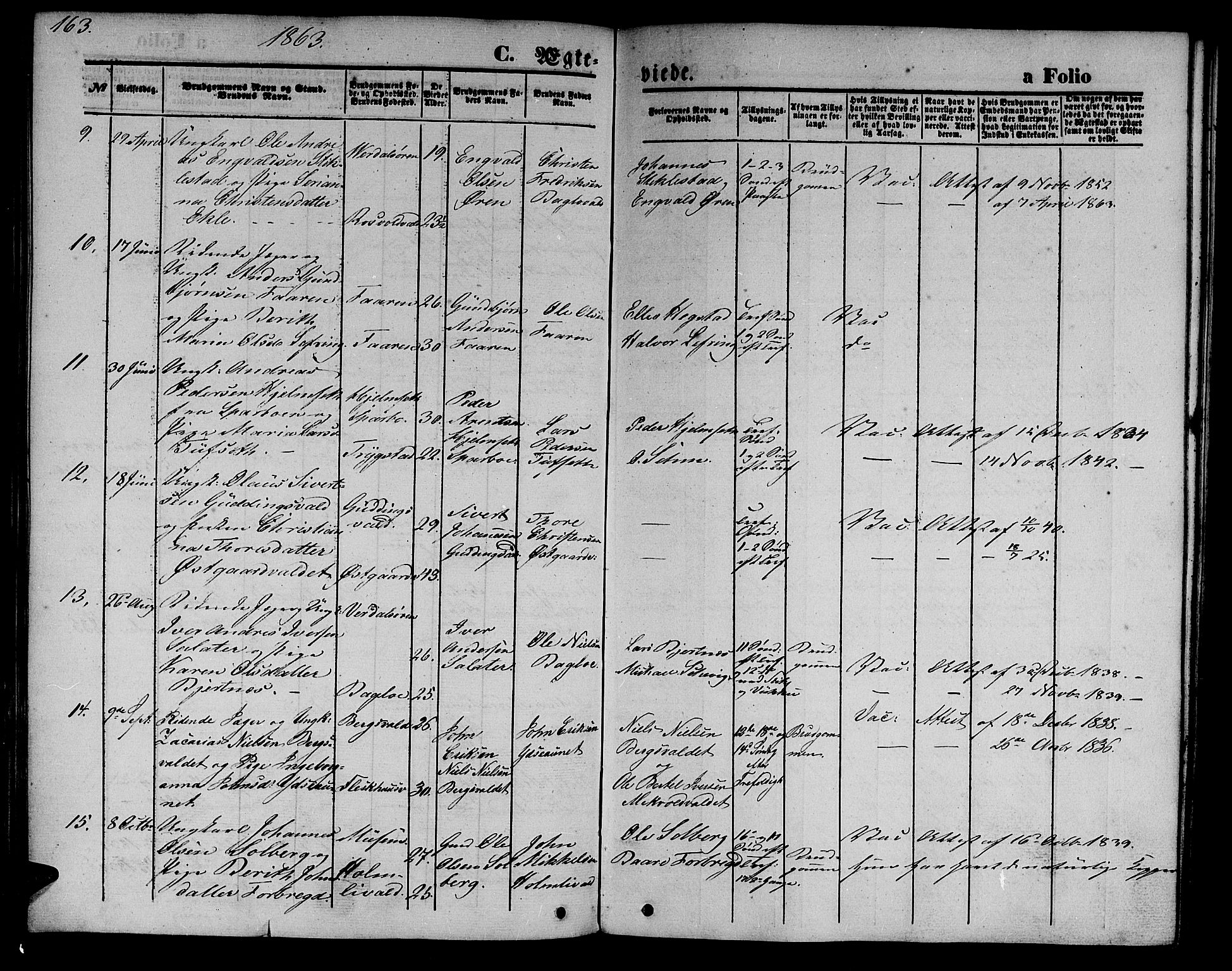 Ministerialprotokoller, klokkerbøker og fødselsregistre - Nord-Trøndelag, SAT/A-1458/723/L0254: Parish register (copy) no. 723C02, 1858-1868, p. 163