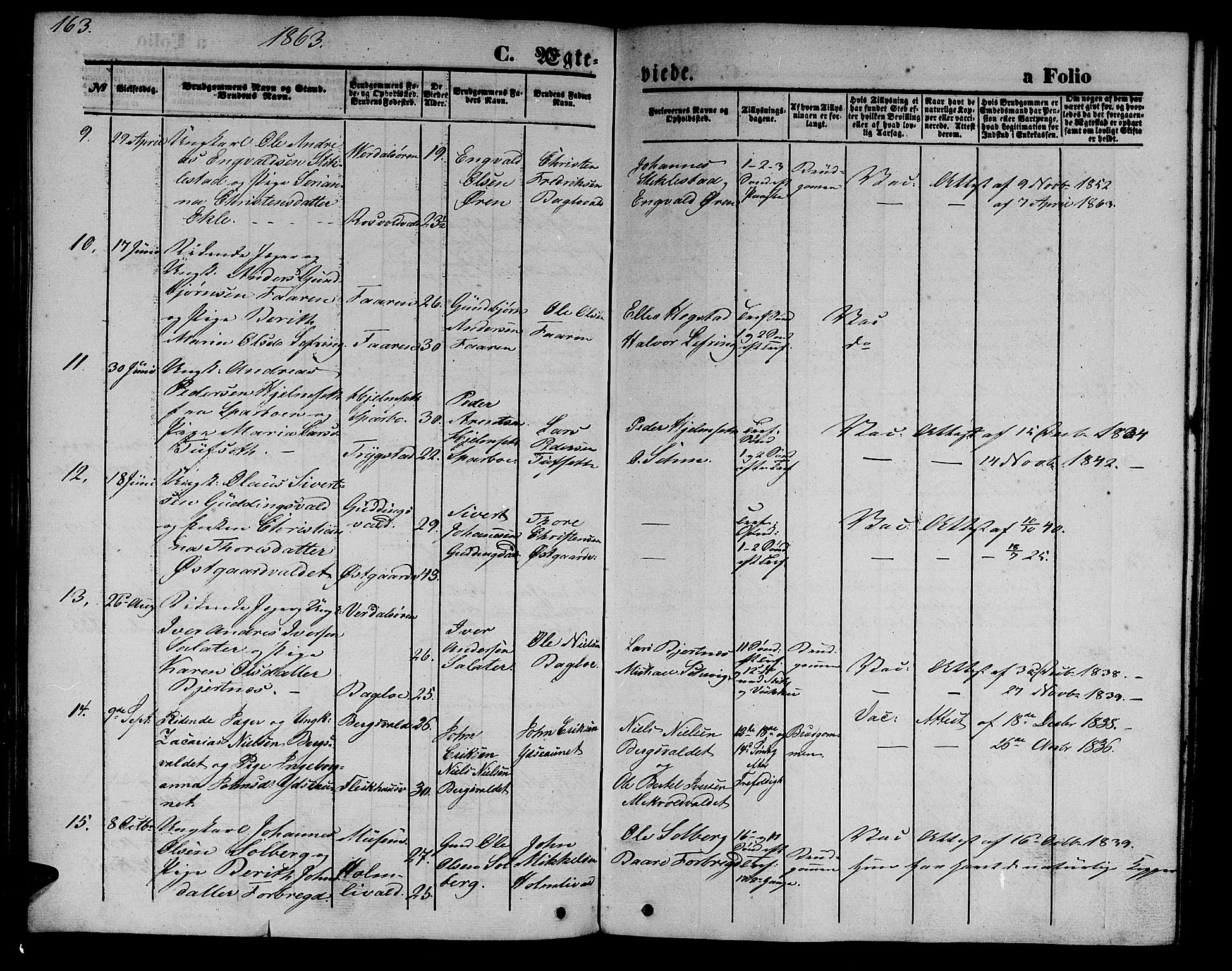 Ministerialprotokoller, klokkerbøker og fødselsregistre - Nord-Trøndelag, AV/SAT-A-1458/723/L0254: Parish register (copy) no. 723C02, 1858-1868, p. 163