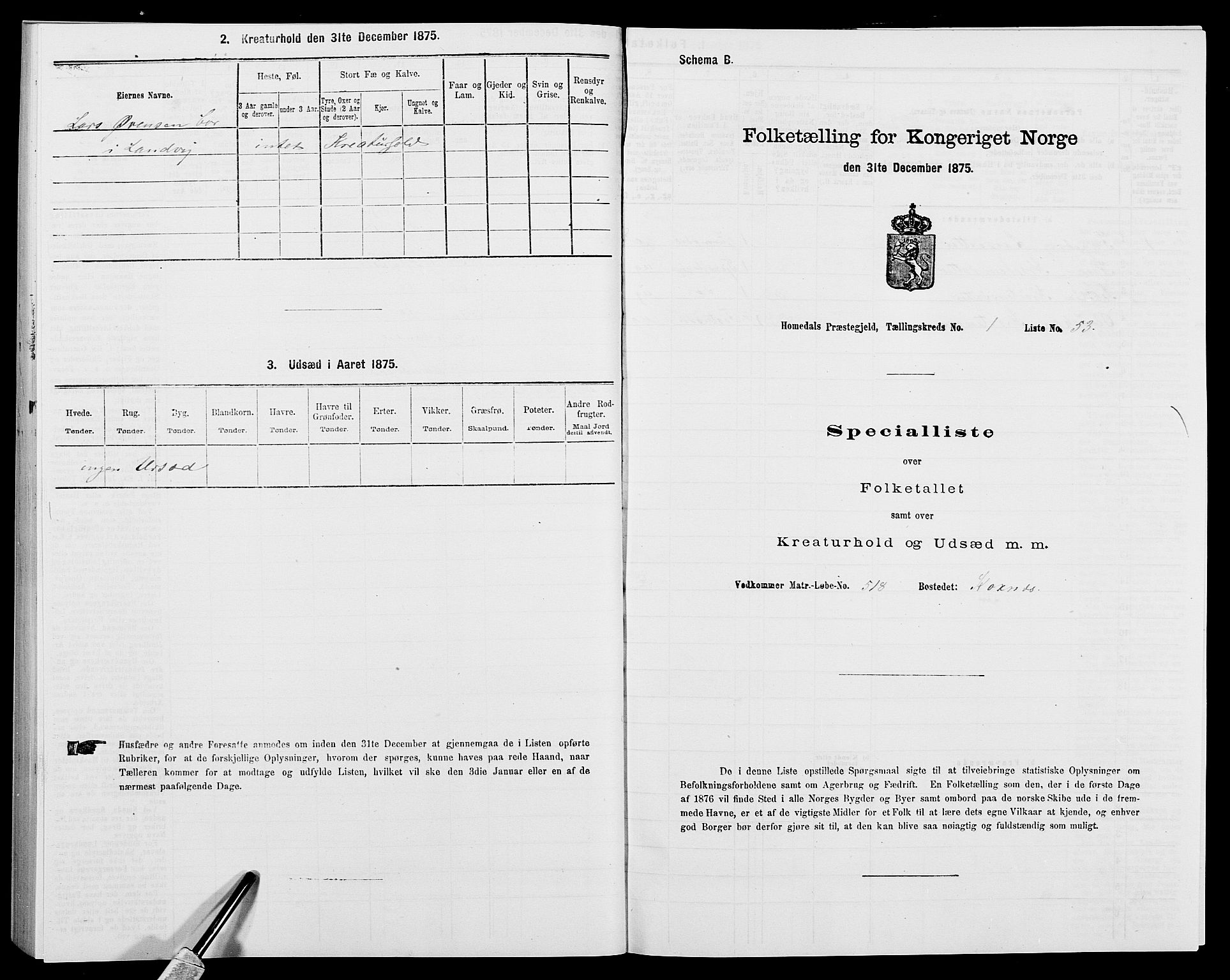 SAK, 1875 census for 0924P Homedal, 1875, p. 124