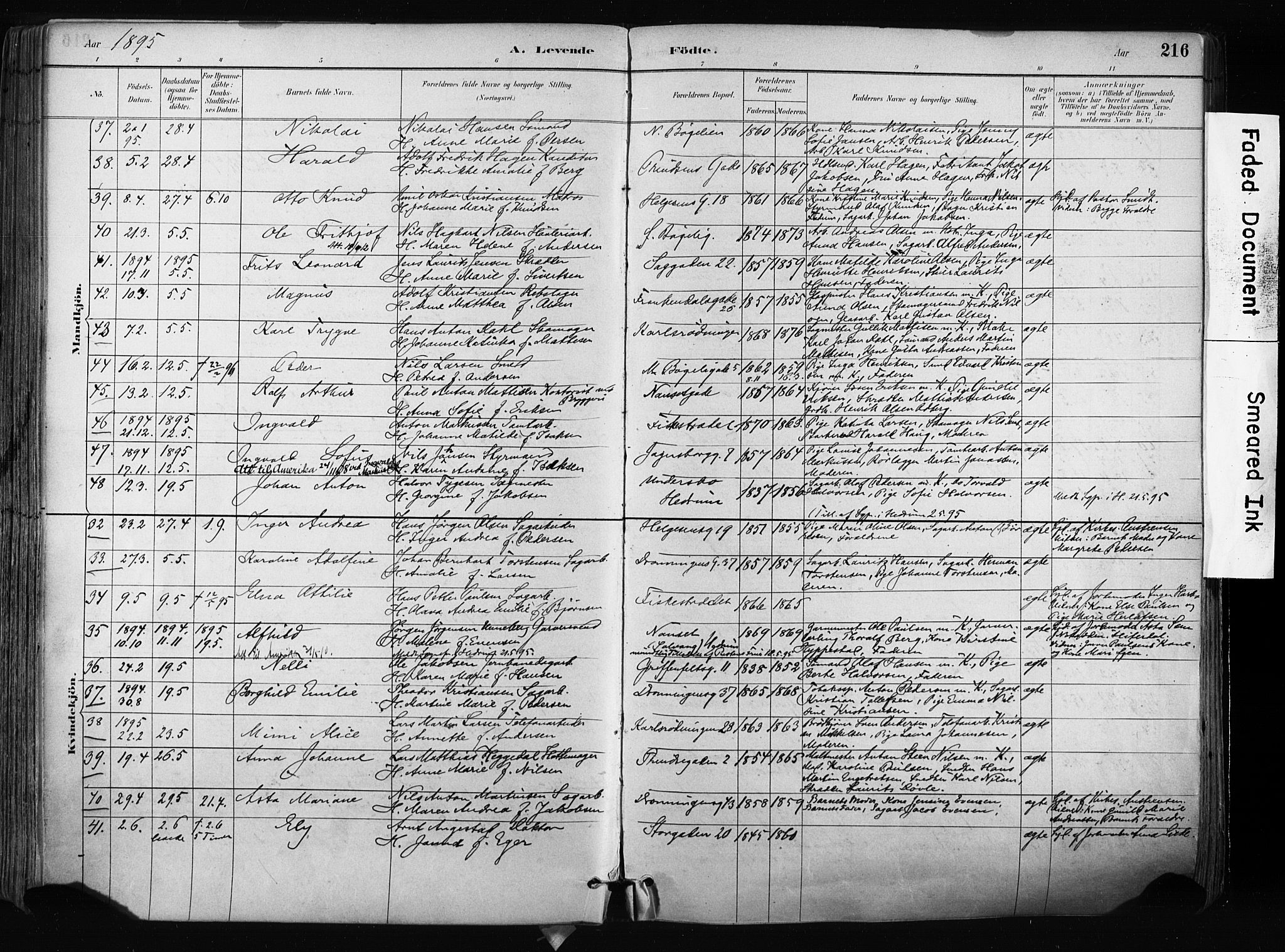 Larvik kirkebøker, AV/SAKO-A-352/F/Fa/L0009: Parish register (official) no. I 9, 1884-1904, p. 216