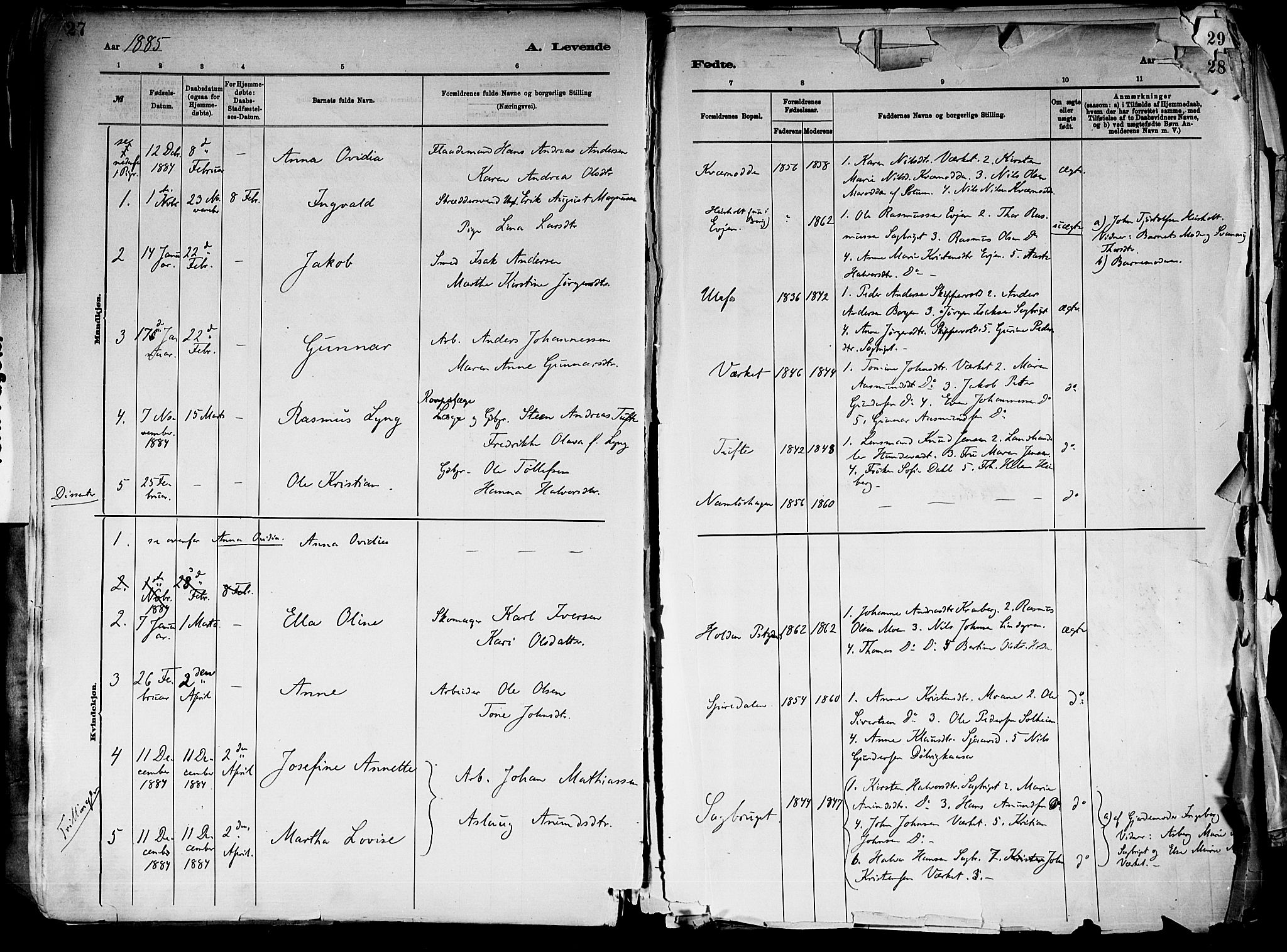 Holla kirkebøker, SAKO/A-272/F/Fa/L0008: Parish register (official) no. 8, 1882-1897, p. 27