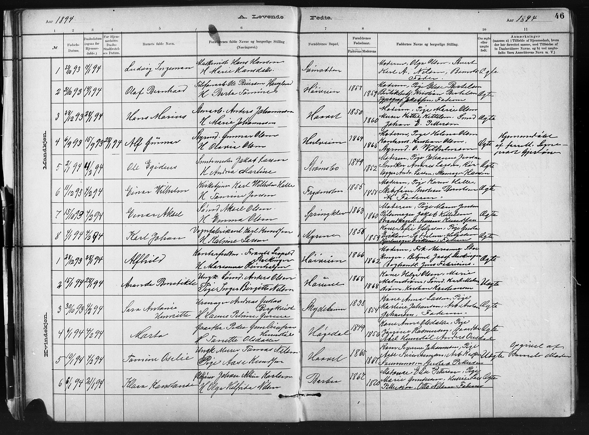 Barbu sokneprestkontor, SAK/1111-0003/F/Fb/L0002: Parish register (copy) no. B 2, 1890-1922, p. 46