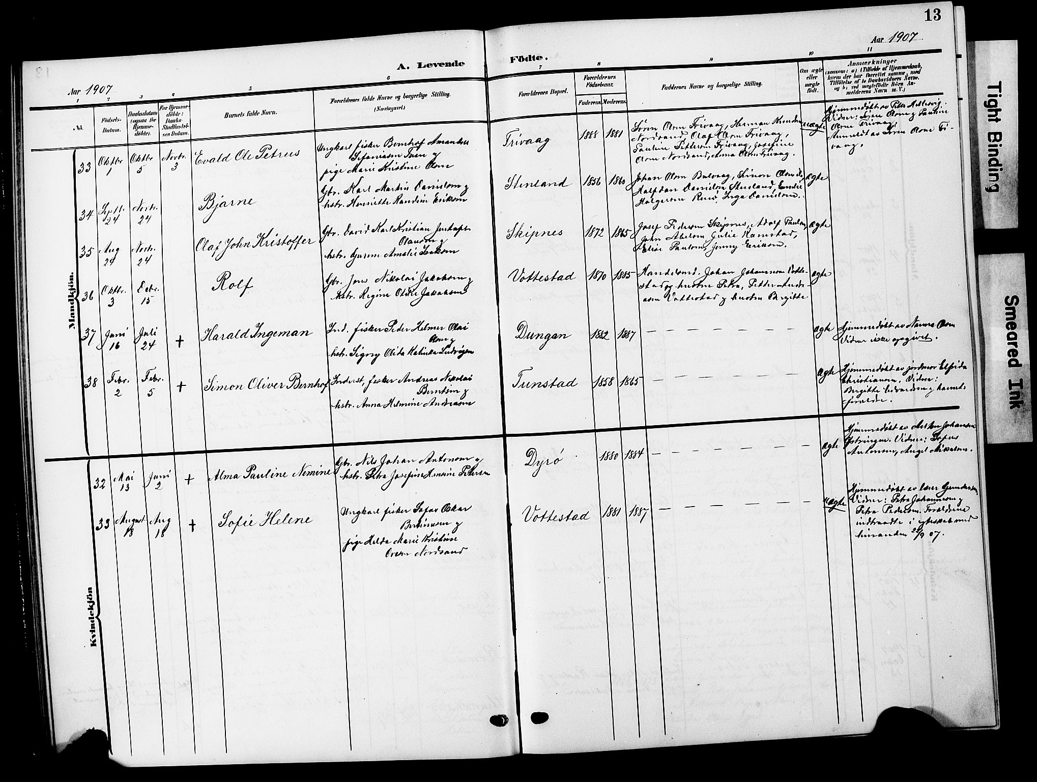 Ministerialprotokoller, klokkerbøker og fødselsregistre - Nordland, AV/SAT-A-1459/893/L1350: Parish register (copy) no. 893C05, 1906-1927, p. 13