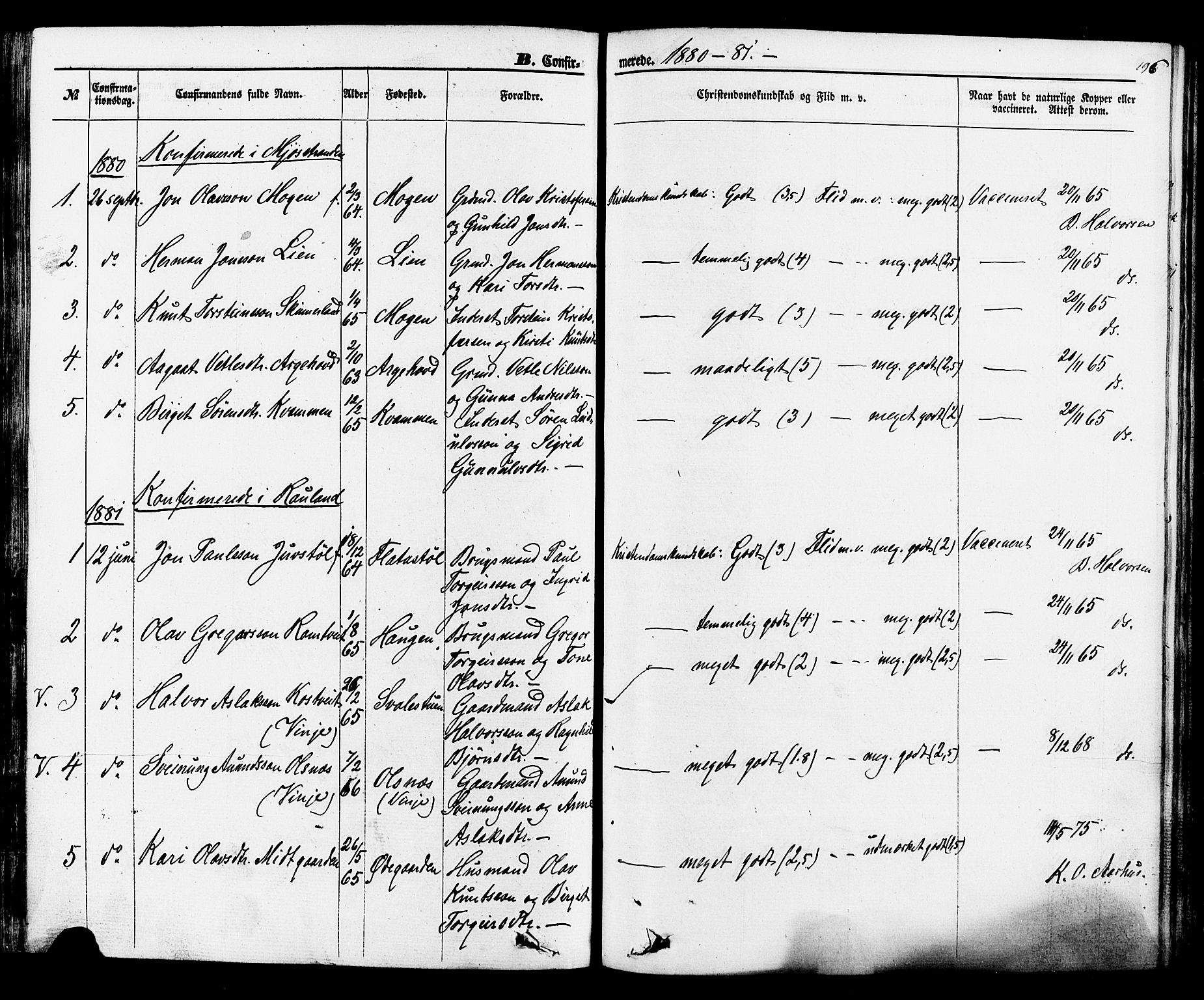 Rauland kirkebøker, SAKO/A-292/F/Fa/L0003: Parish register (official) no. 3, 1859-1886, p. 196