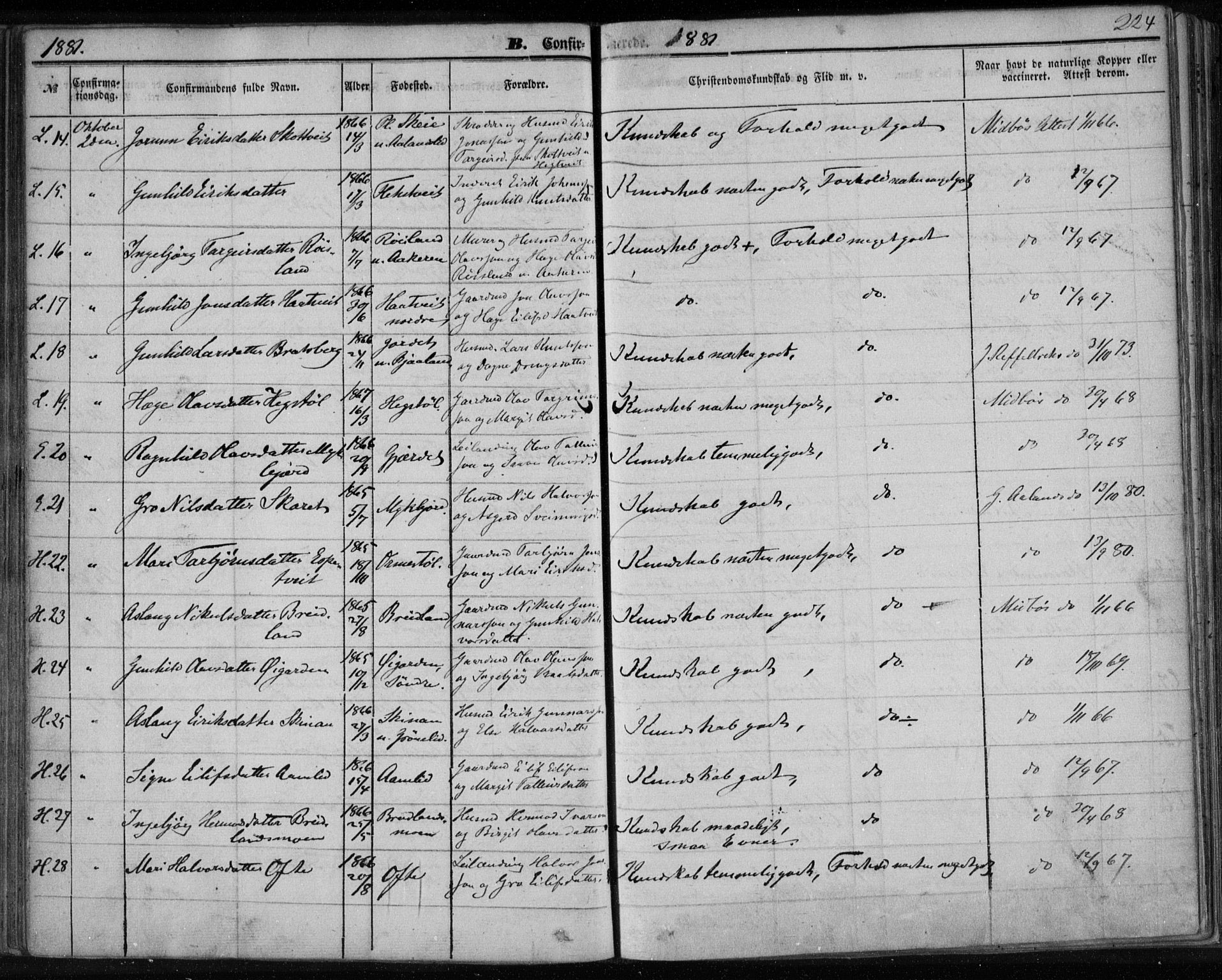 Lårdal kirkebøker, AV/SAKO-A-284/F/Fa/L0006: Parish register (official) no. I 6, 1861-1886, p. 224