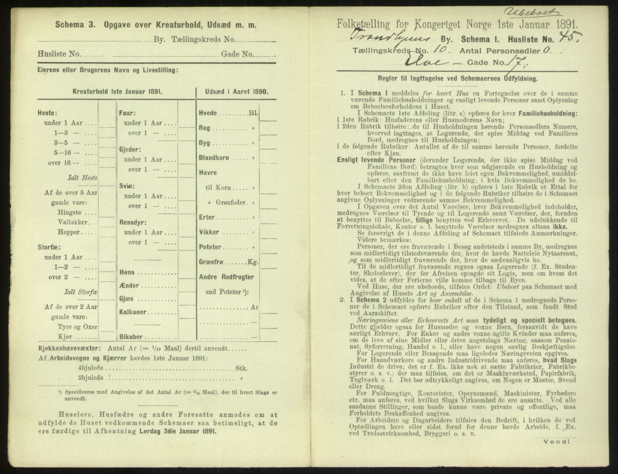 RA, 1891 census for 1601 Trondheim, 1891, p. 1242