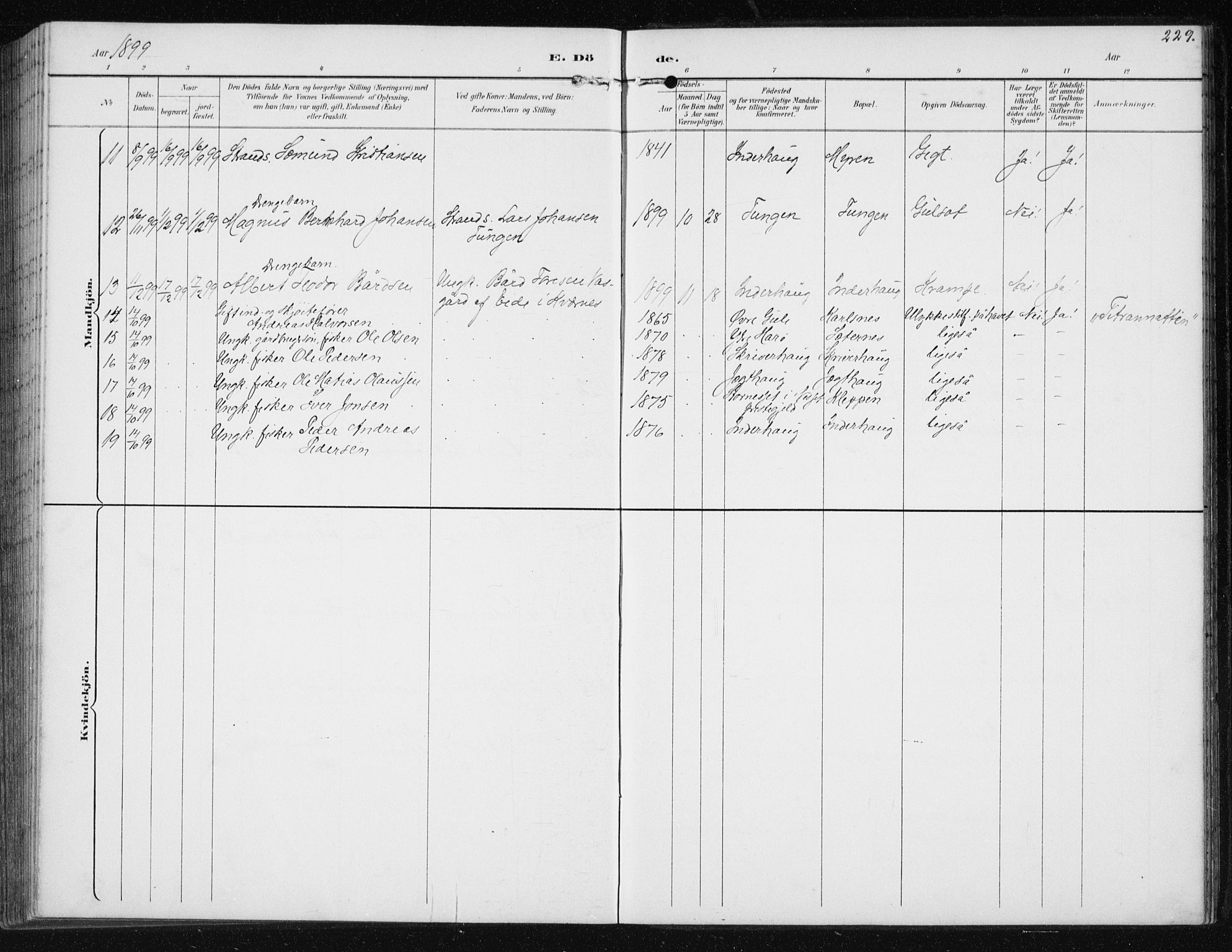 Ministerialprotokoller, klokkerbøker og fødselsregistre - Møre og Romsdal, AV/SAT-A-1454/566/L0773: Parish register (copy) no. 566C02, 1892-1909, p. 229