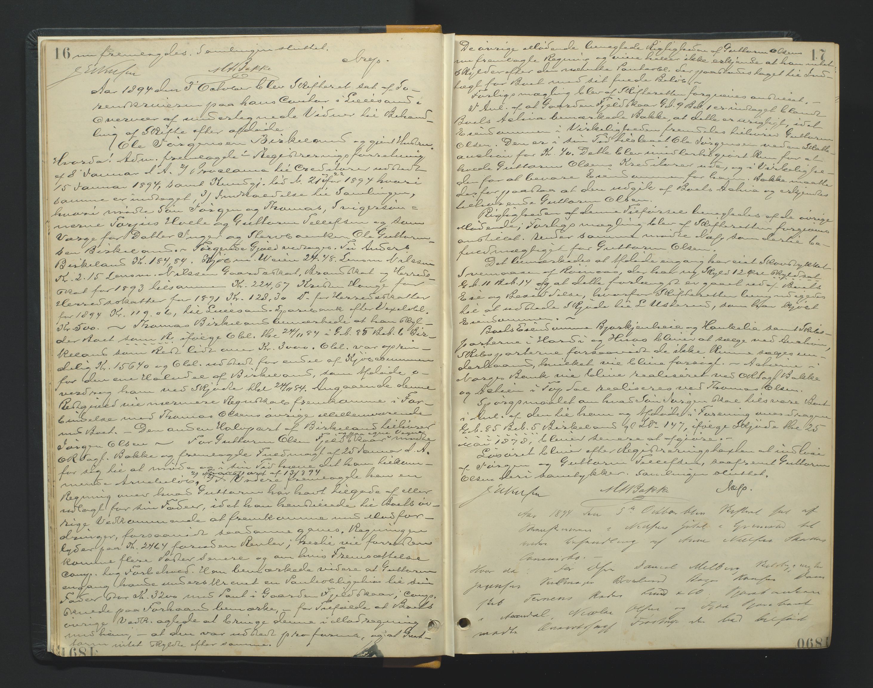 Vestre Nedenes/Sand sorenskriveri, AV/SAK-1221-0010/H/Hc/L0007: Skifteforhandlingsprotokoll nr. 5, 1894-1916, p. 16-17