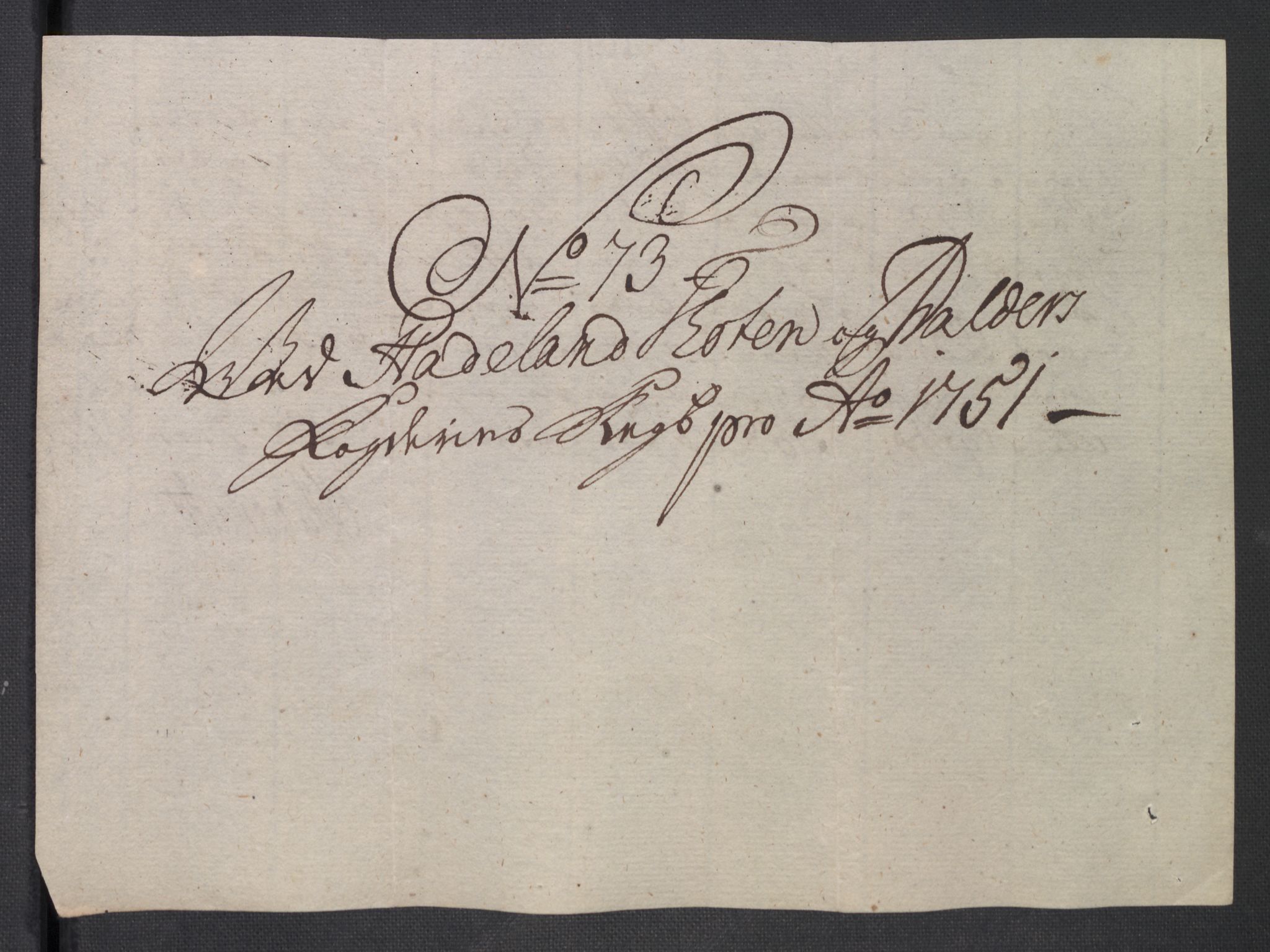 Rentekammeret inntil 1814, Reviderte regnskaper, Fogderegnskap, AV/RA-EA-4092/R18/L1348: Fogderegnskap Hadeland, Toten og Valdres, 1750-1751, p. 596