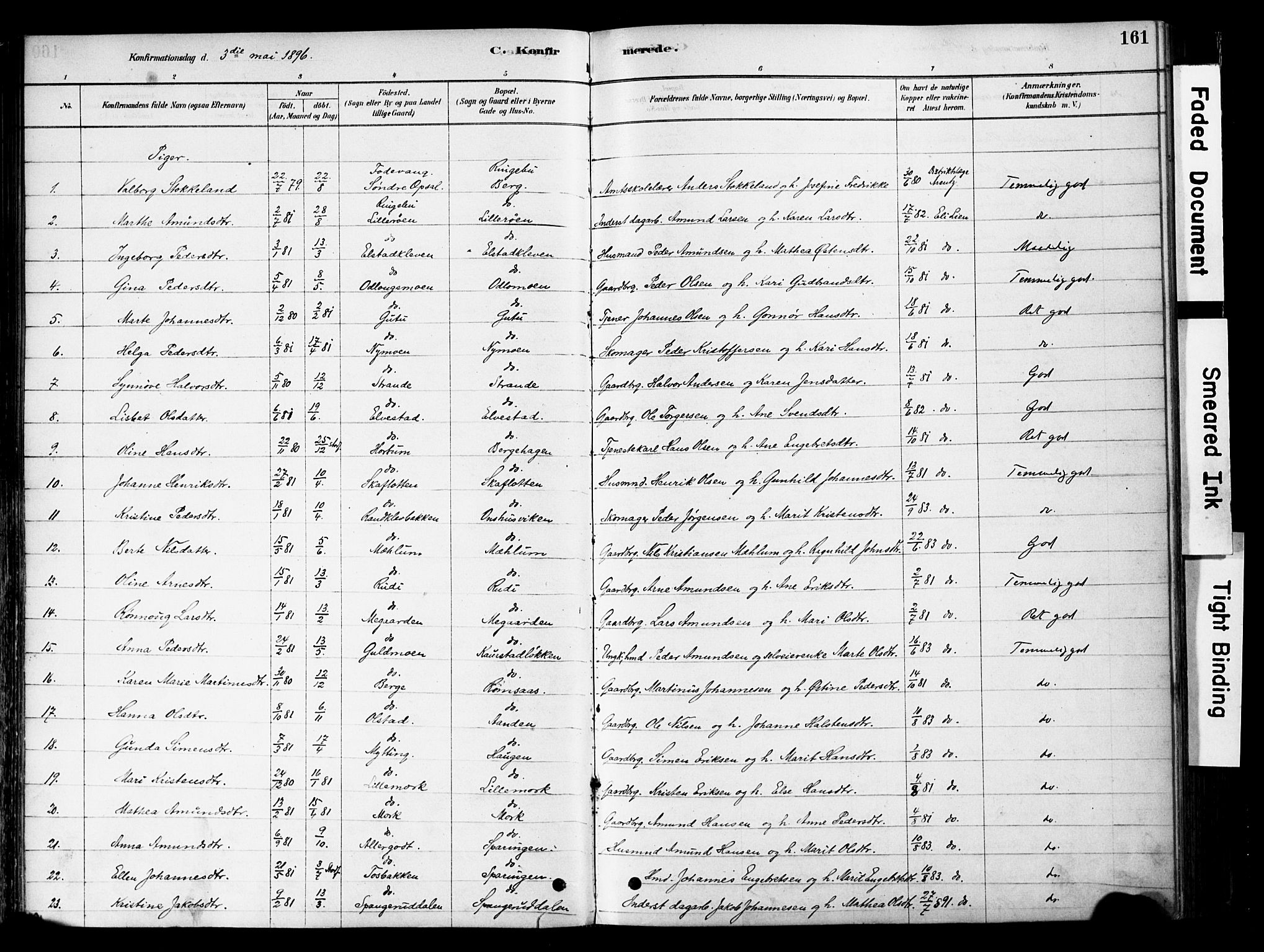 Ringebu prestekontor, AV/SAH-PREST-082/H/Ha/Haa/L0008: Parish register (official) no. 8, 1878-1898, p. 161