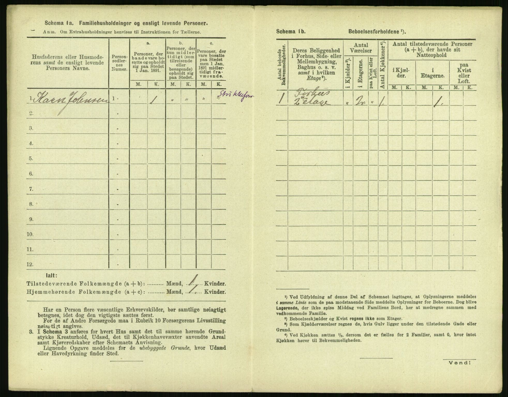 RA, 1891 census for 1103 Stavanger, 1891, p. 2166