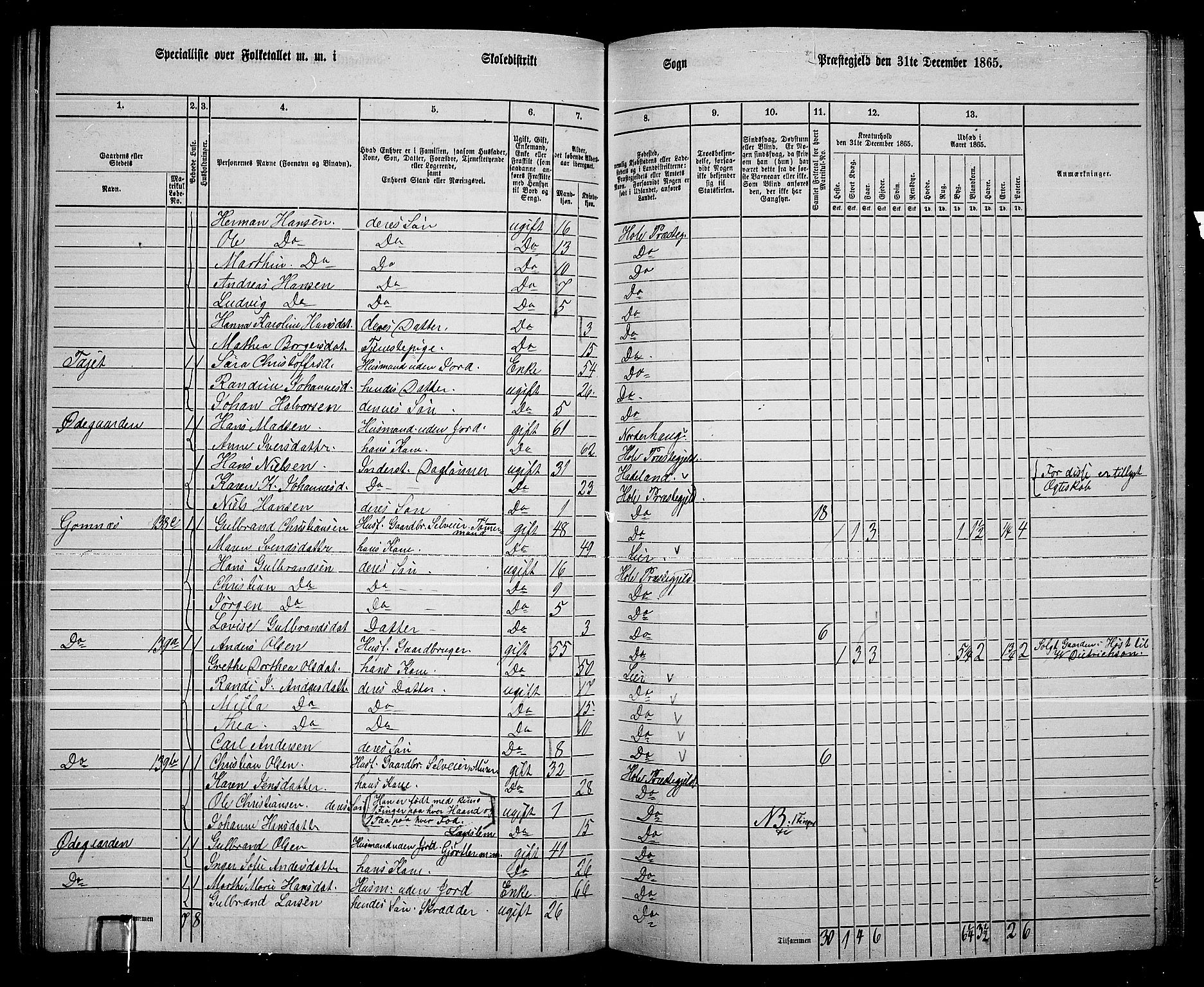 RA, 1865 census for Hole, 1865, p. 103