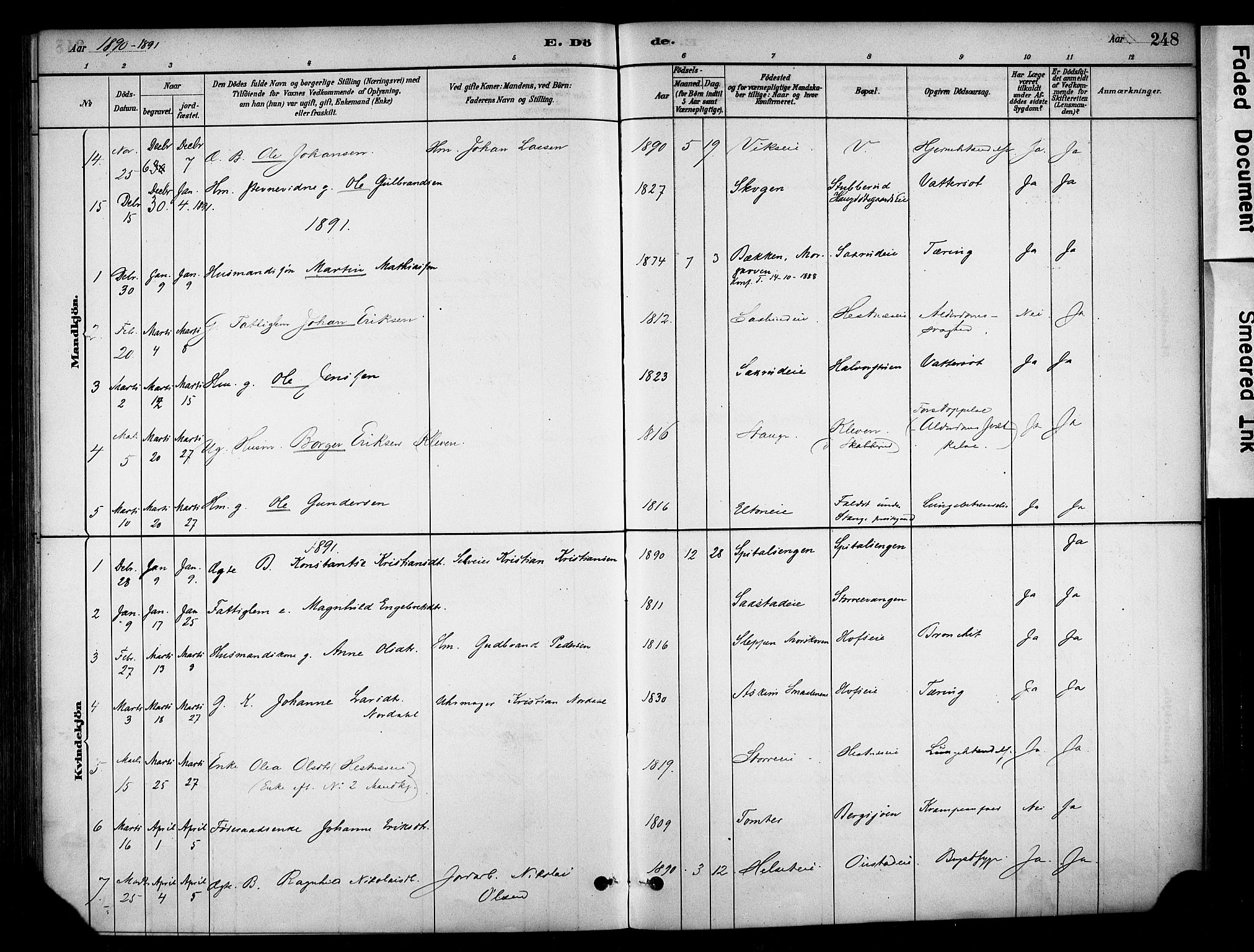 Stange prestekontor, SAH/PREST-002/K/L0018: Parish register (official) no. 18, 1880-1896, p. 248