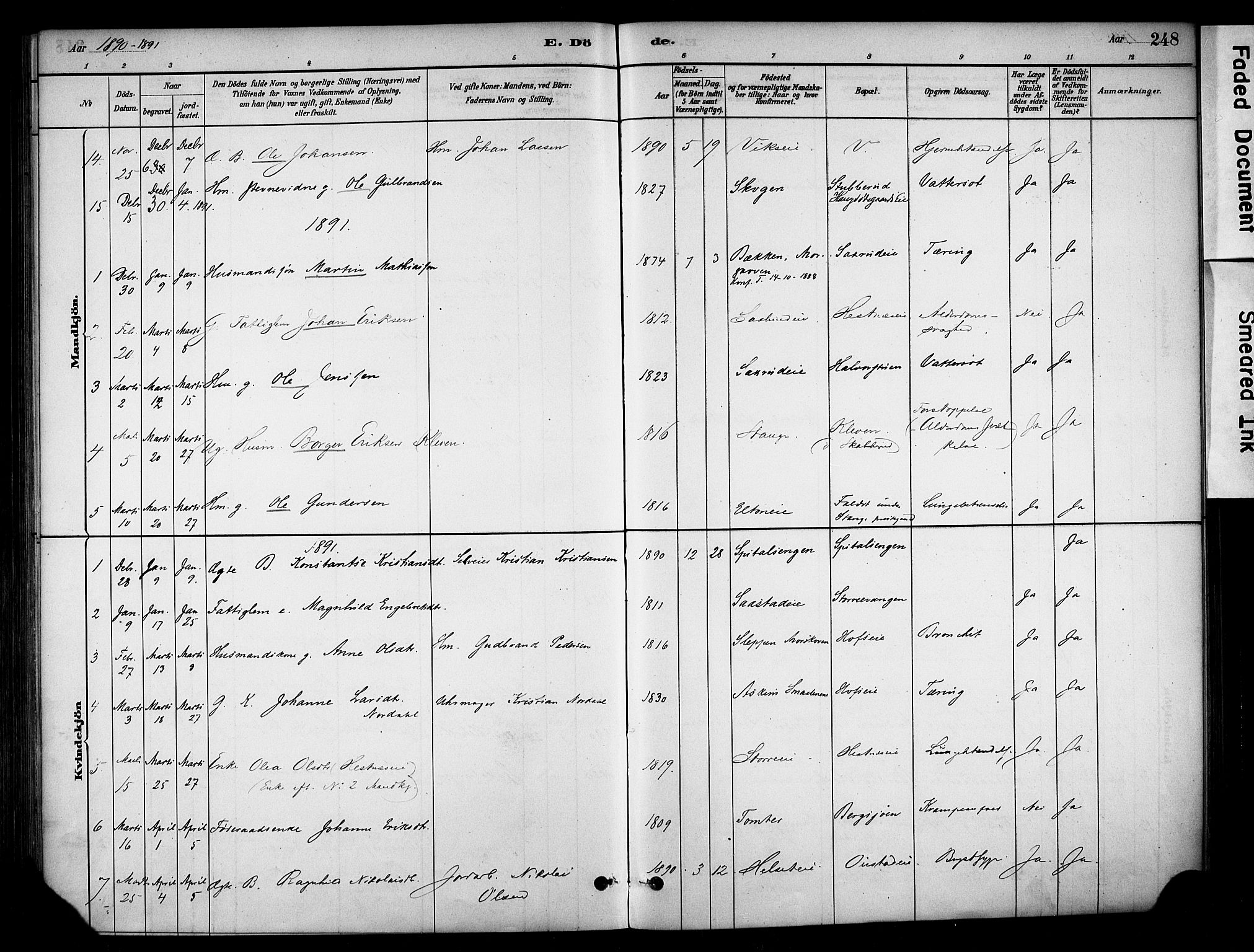 Stange prestekontor, AV/SAH-PREST-002/K/L0018: Parish register (official) no. 18, 1880-1896, p. 248