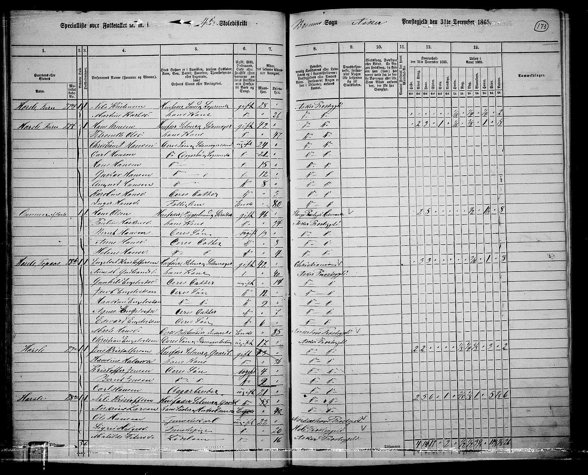 RA, 1865 census for Asker, 1865, p. 170