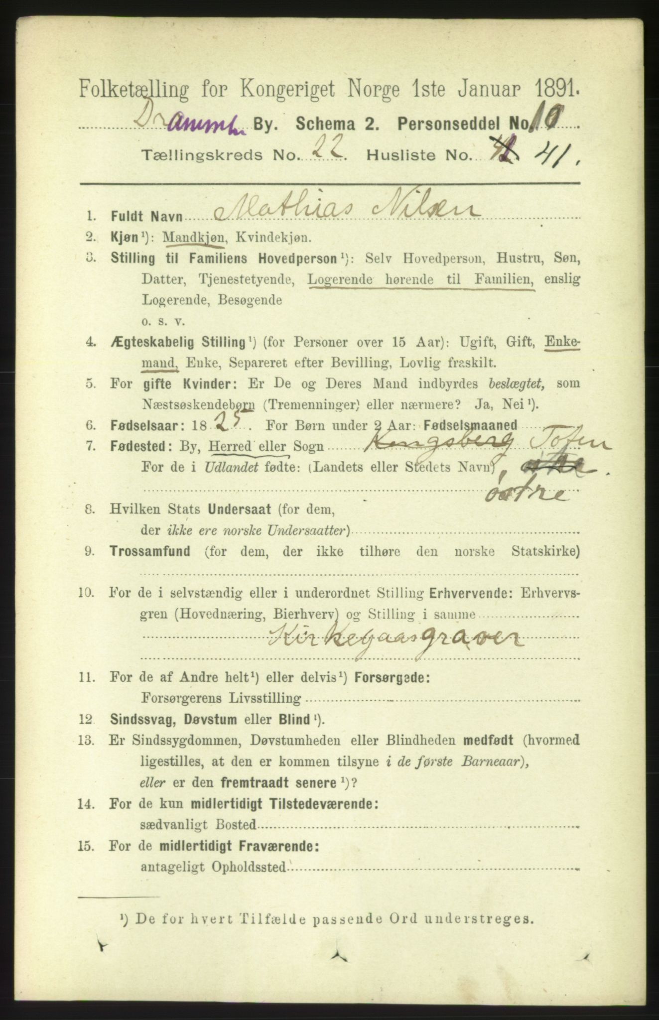 RA, 1891 census for 0602 Drammen, 1891, p. 14049