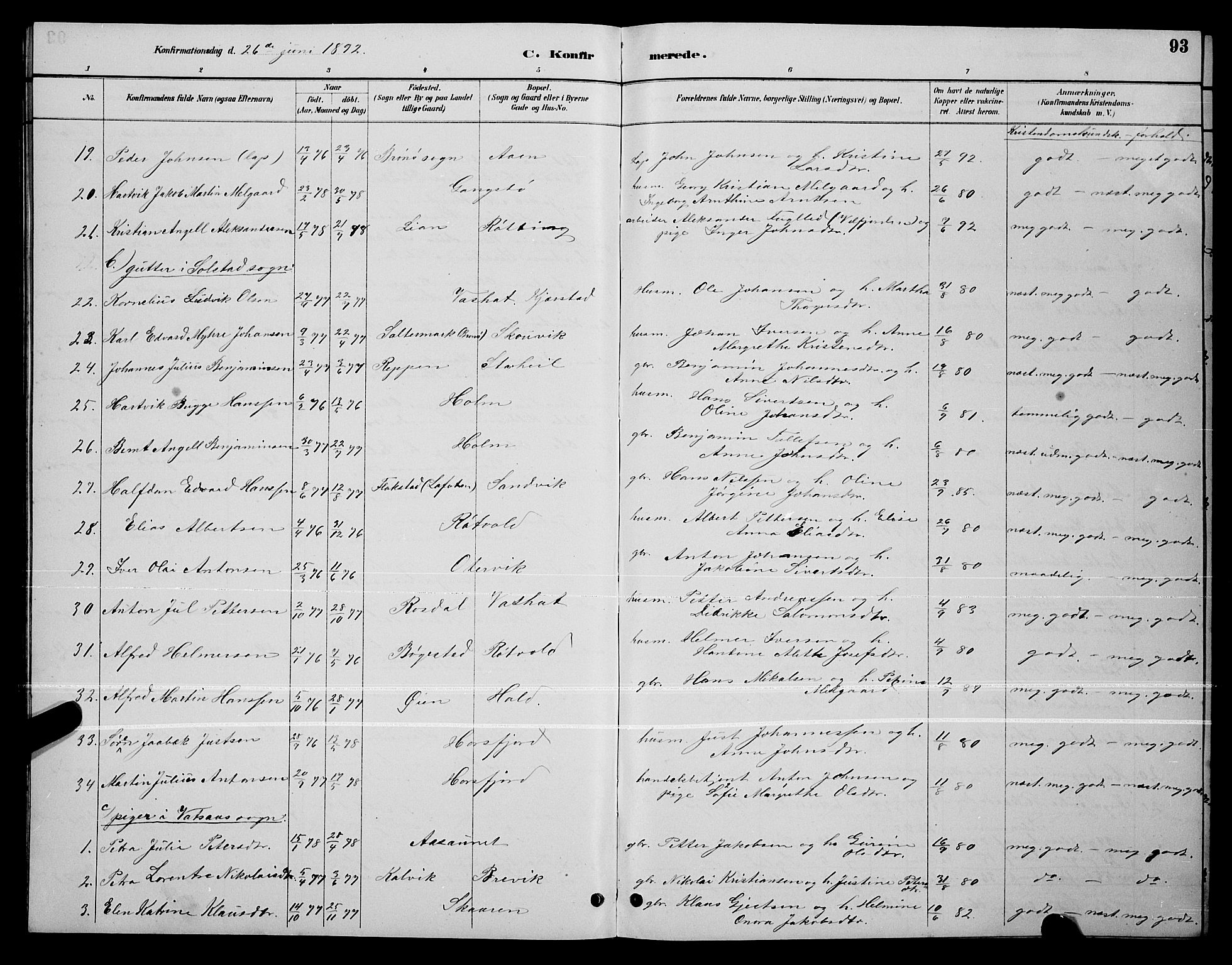 Ministerialprotokoller, klokkerbøker og fødselsregistre - Nordland, AV/SAT-A-1459/810/L0160: Parish register (copy) no. 810C03, 1884-1896, p. 93