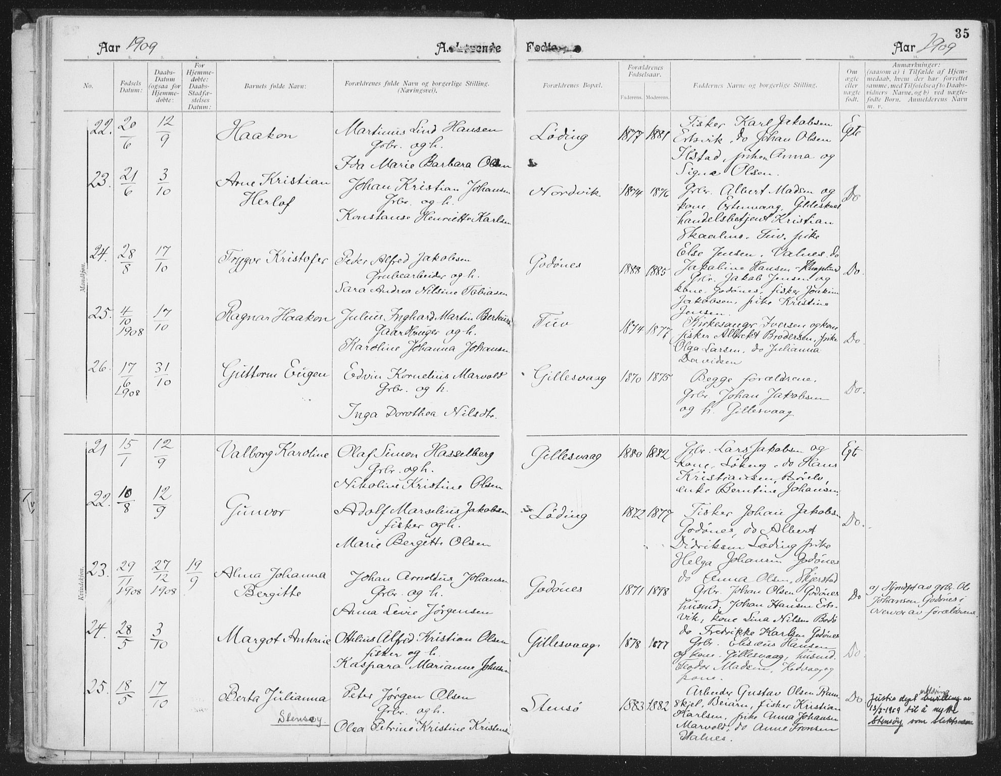 Ministerialprotokoller, klokkerbøker og fødselsregistre - Nordland, AV/SAT-A-1459/804/L0081: Parish register (official) no. 804A02, 1901-1915, p. 35